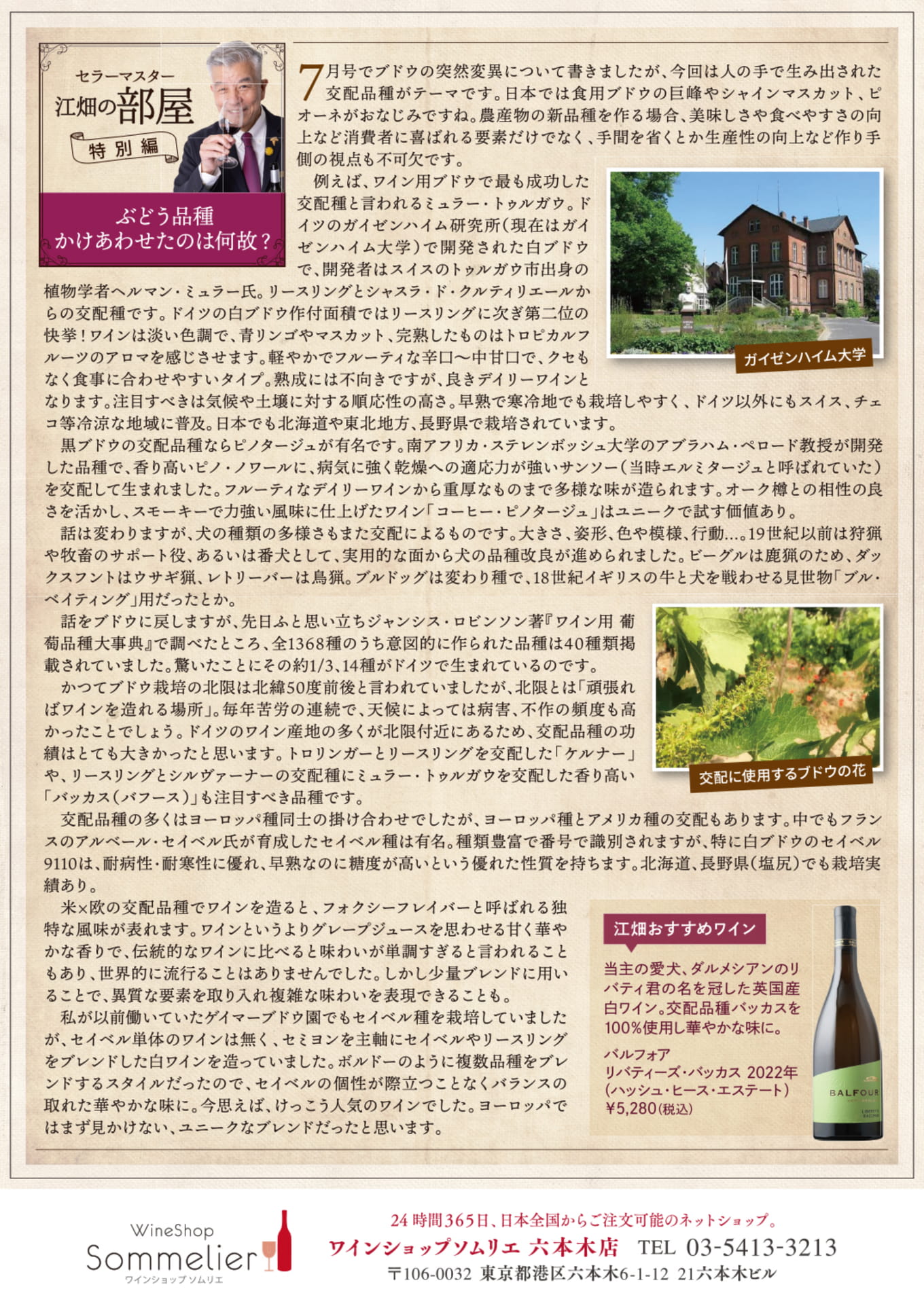 Page 2（2ページ目）