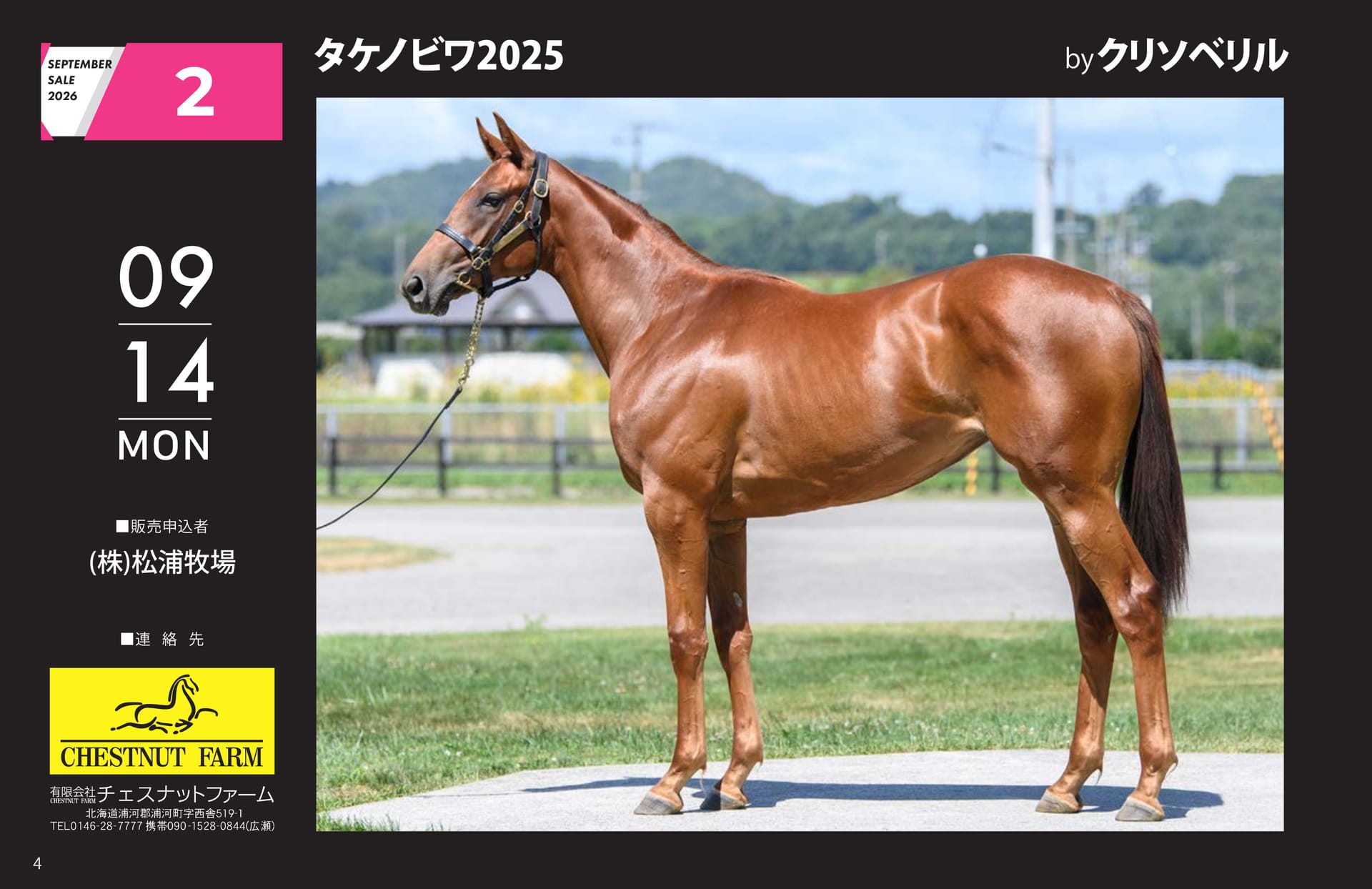 SEPTEMBER SALE 2026(4ページ目)