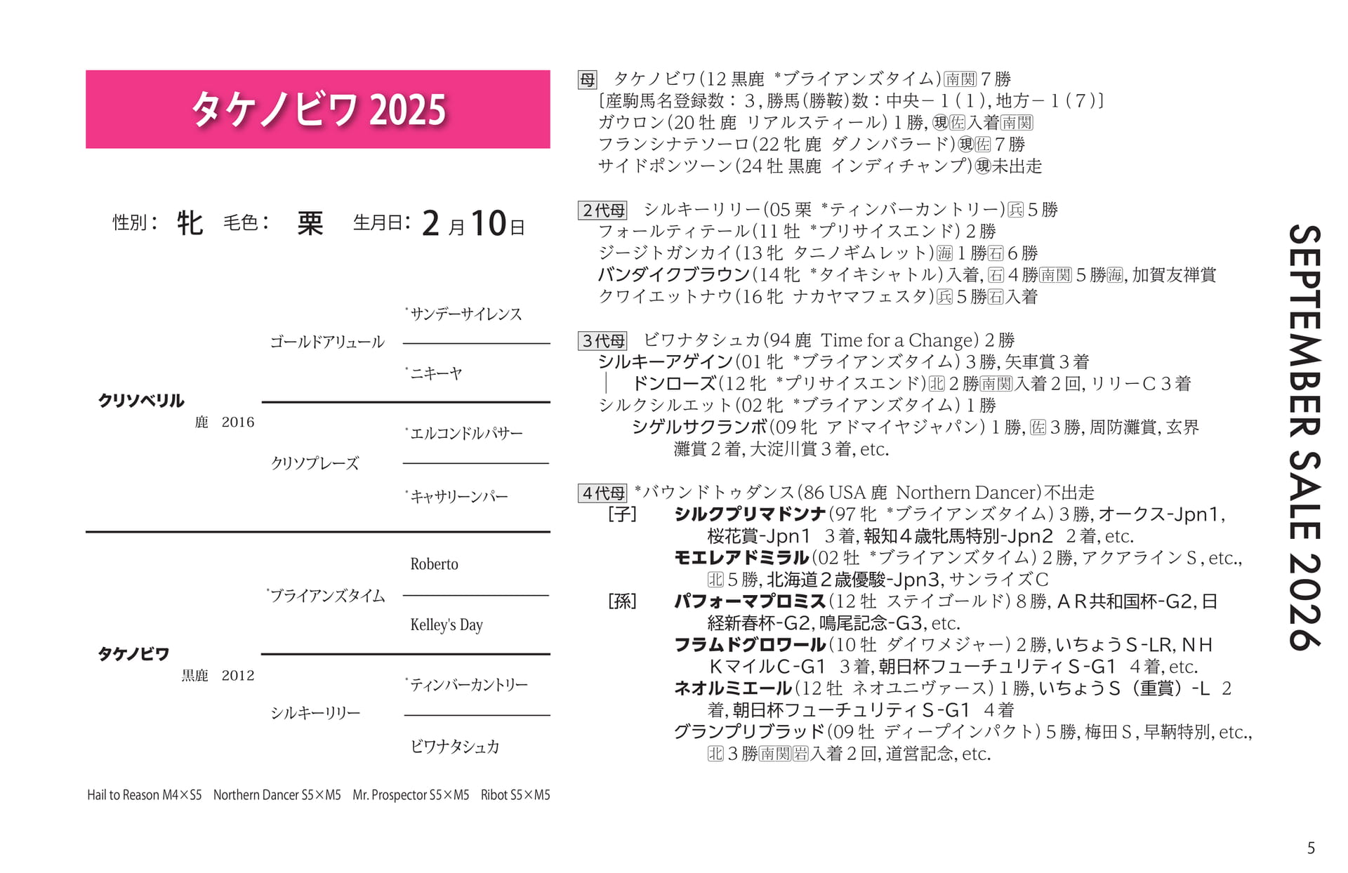 タケノビワ 2025(5ページ目)