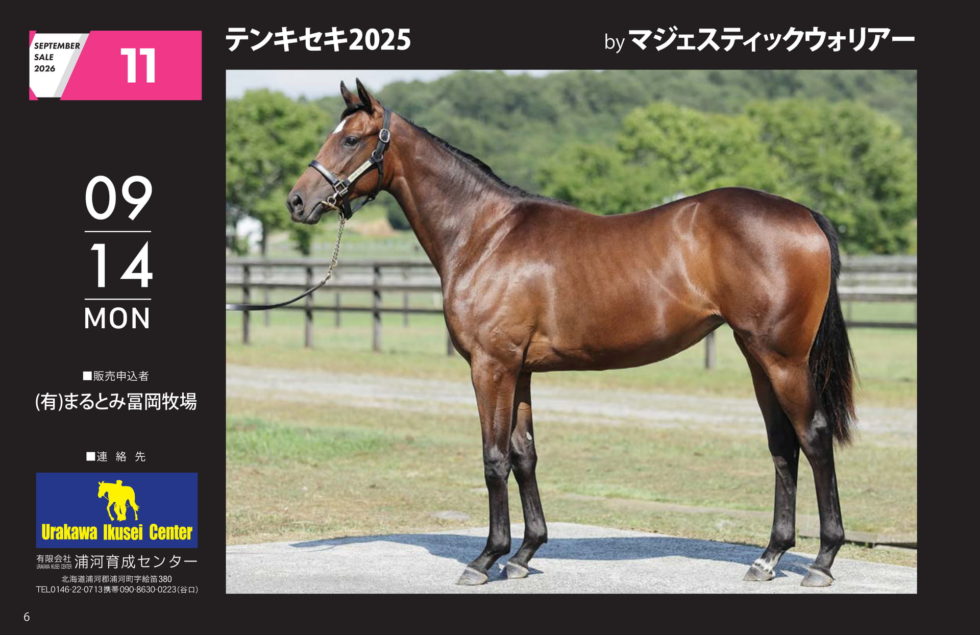 SEPTEMBER SALE 2026(6ページ目)