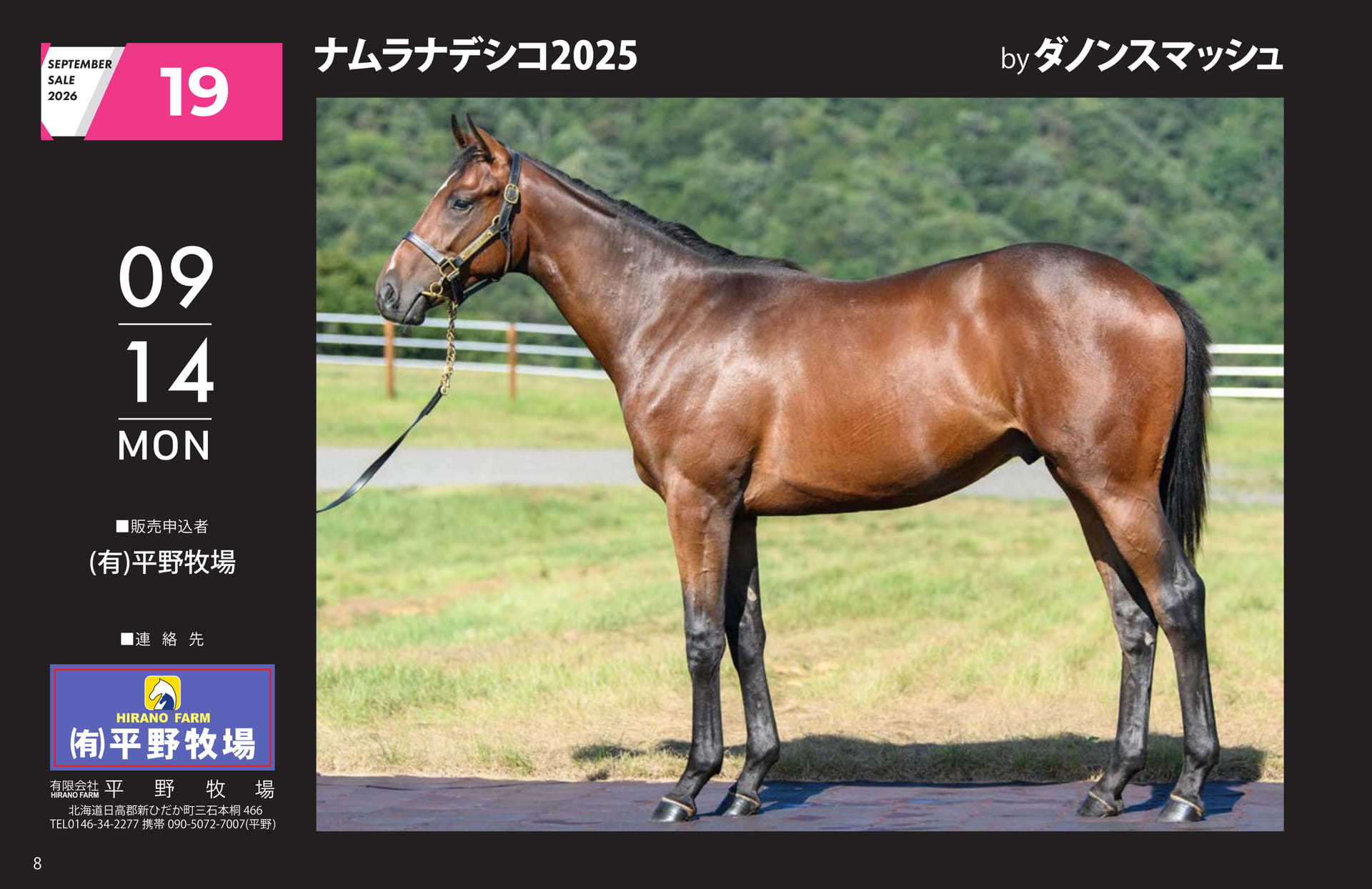 SEPTEMBER SALE 2026(8ページ目)