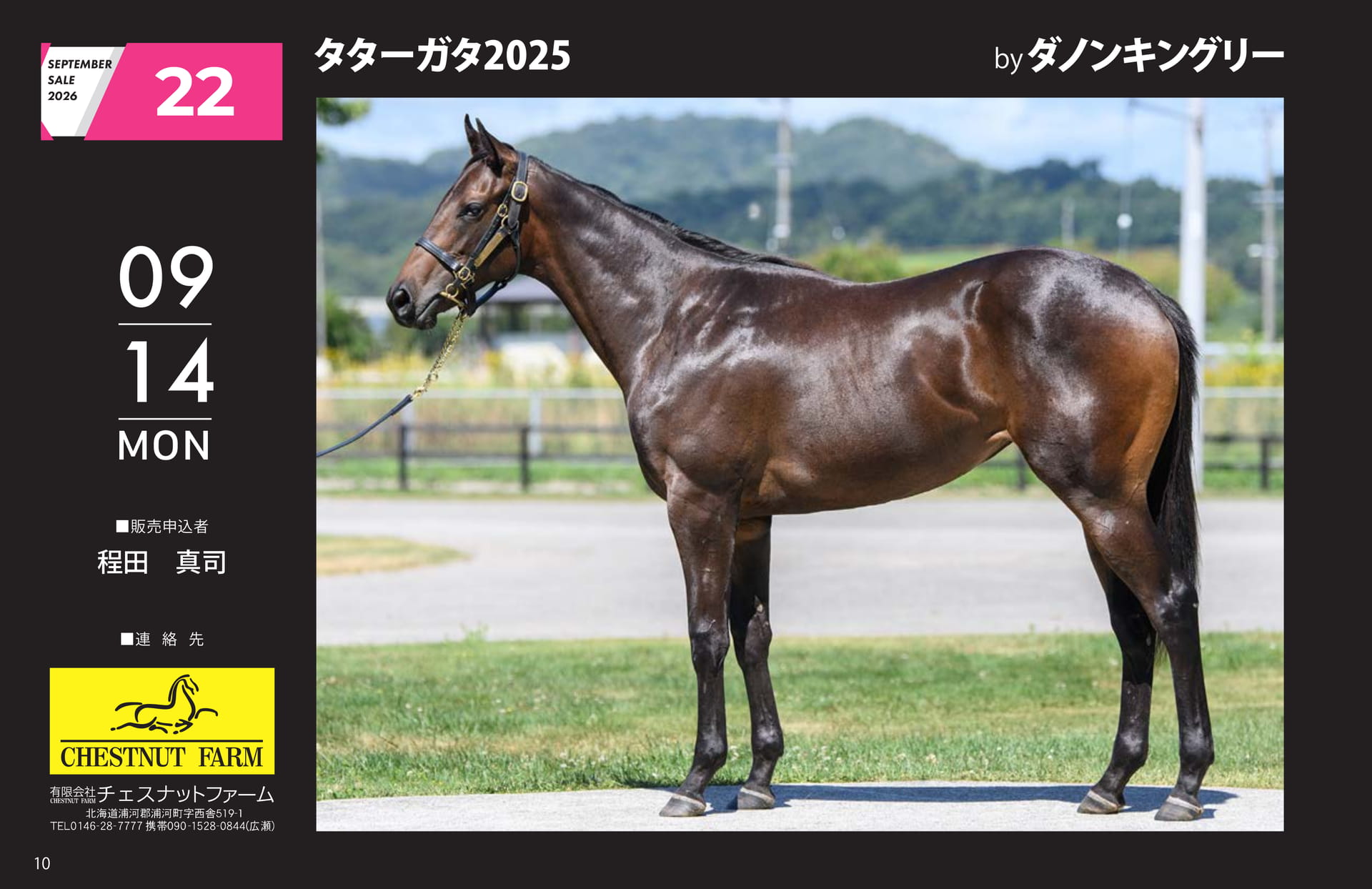 SEPTEMBER SALE 2026(10ページ目)