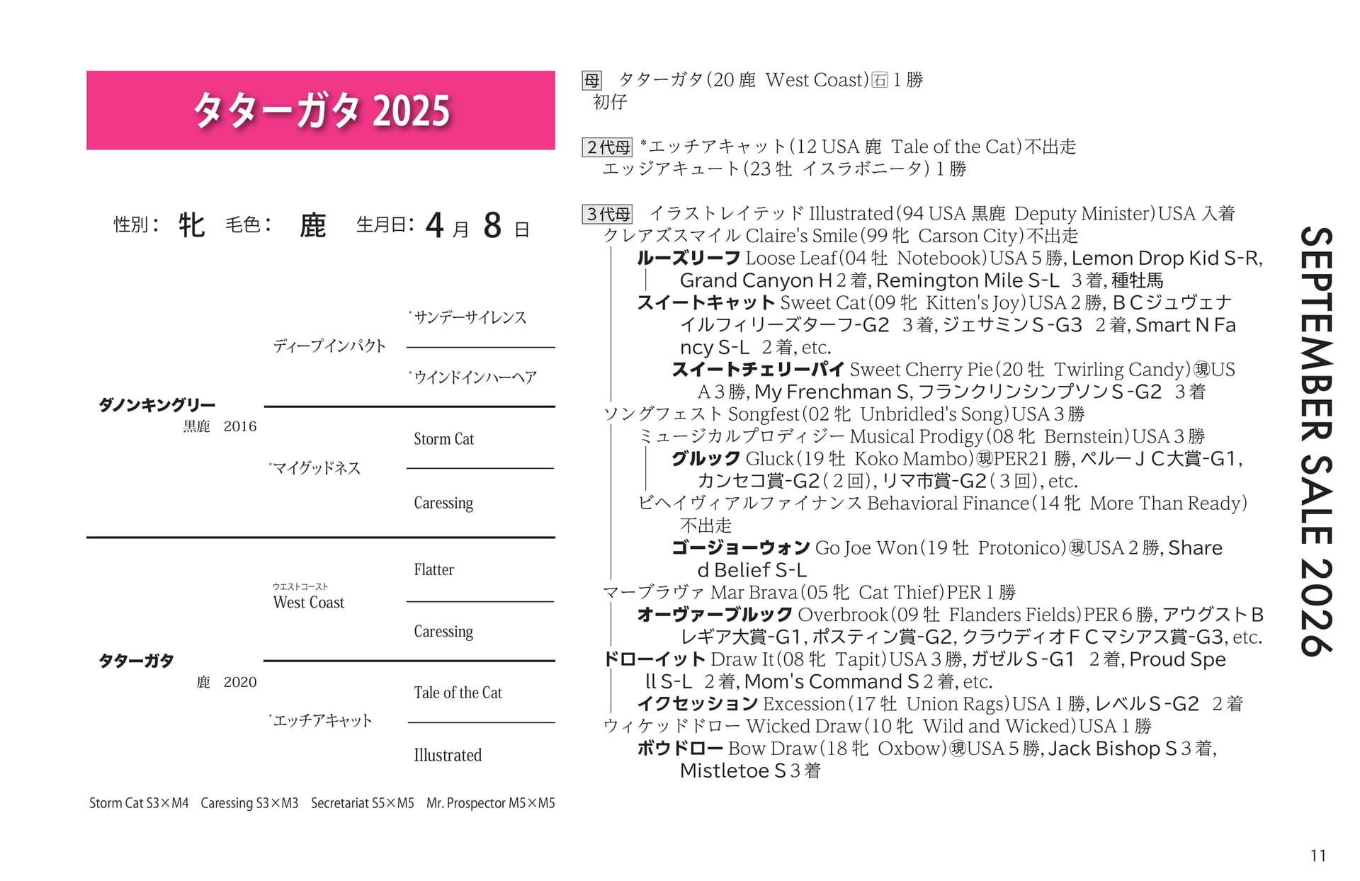 タターガタ 2025(11ページ目)