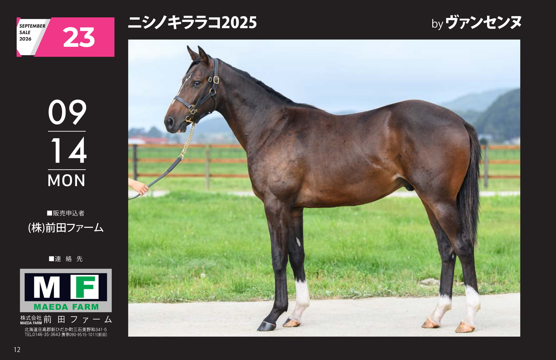 SEPTEMBER SALE 2026(12ページ目)