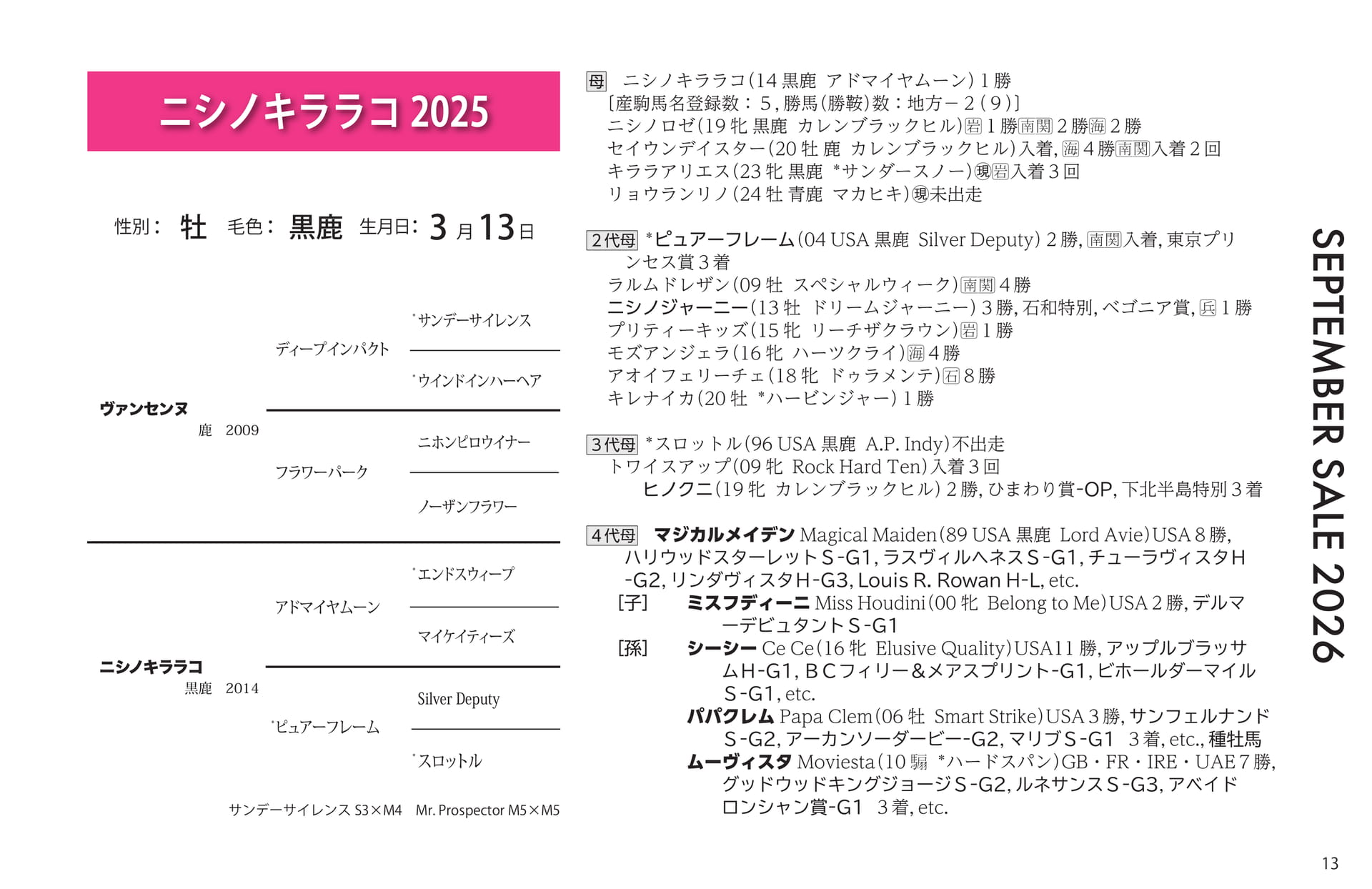 ニシノキララコ 2025(13ページ目)