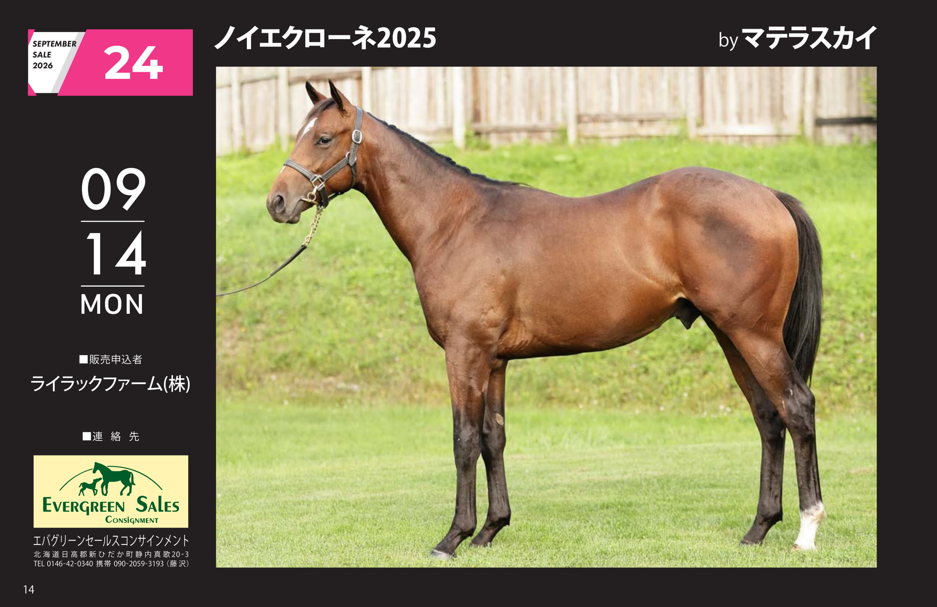 SEPTEMBER SALE 2026(14ページ目)
