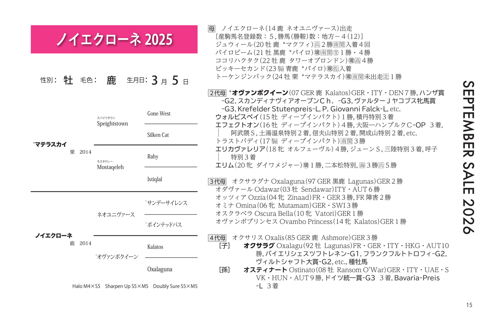 ノイエクローネ 2025(15ページ目)