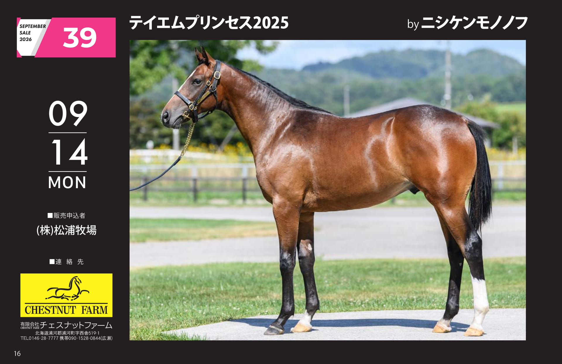 SEPTEMBER SALE 2026(16ページ目)