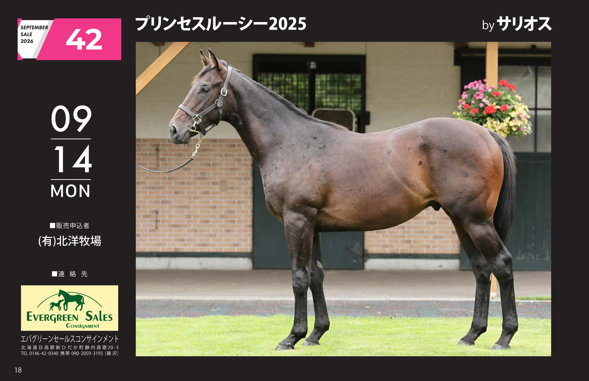 SEPTEMBER SALE 2026(18ページ目)
