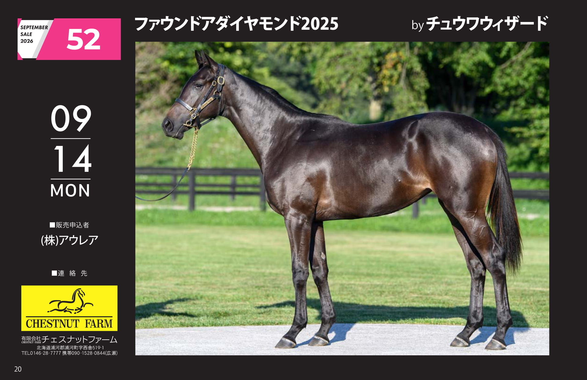 SEPTEMBER SALE 2026(20ページ目)
