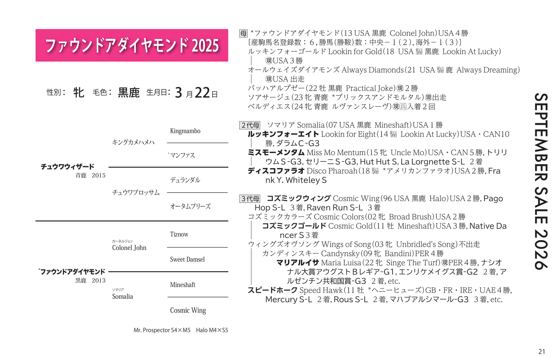 ファウンドアダイヤモンド 2025(21ページ目)