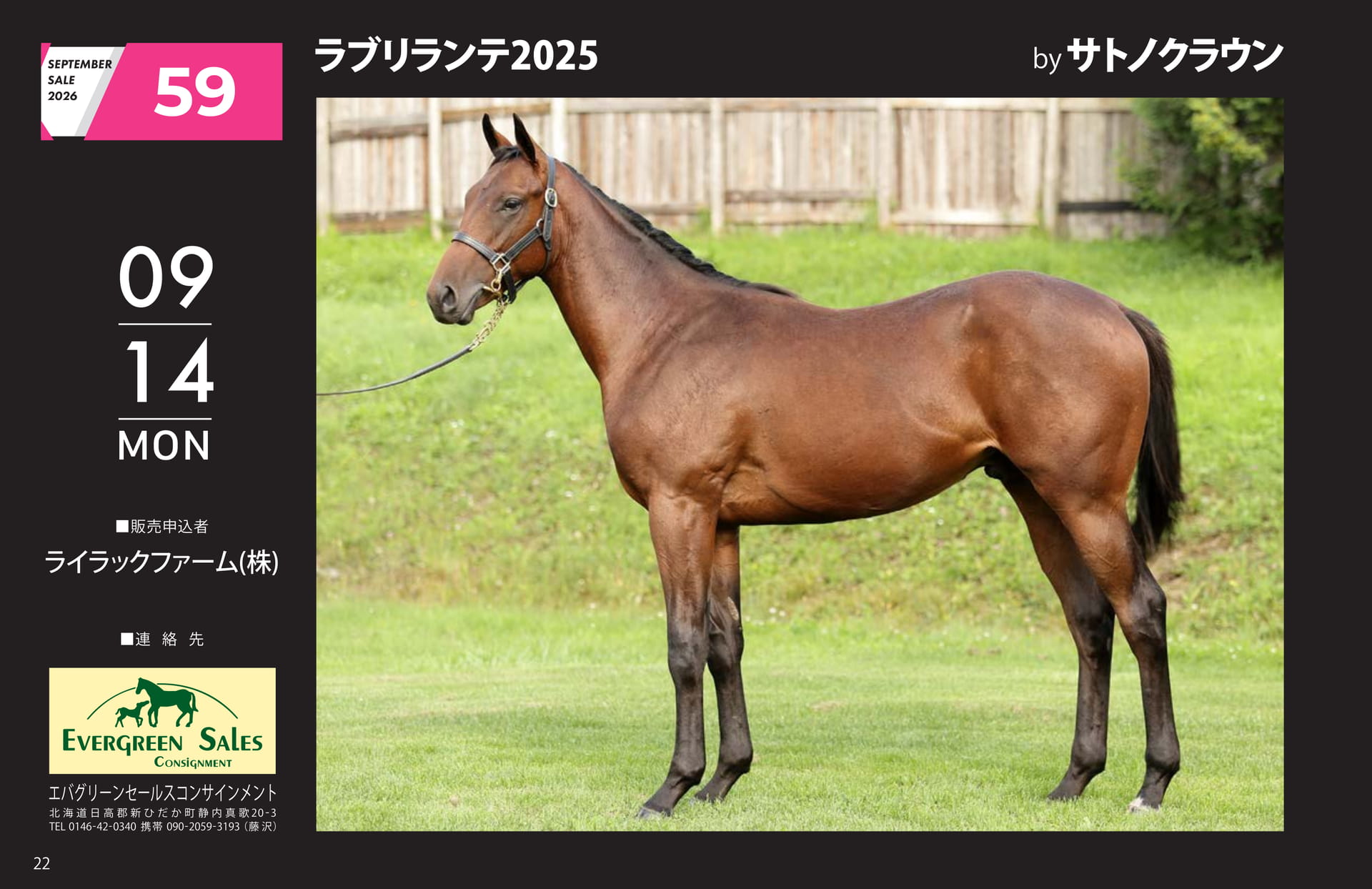 SEPTEMBER SALE 2026(22ページ目)