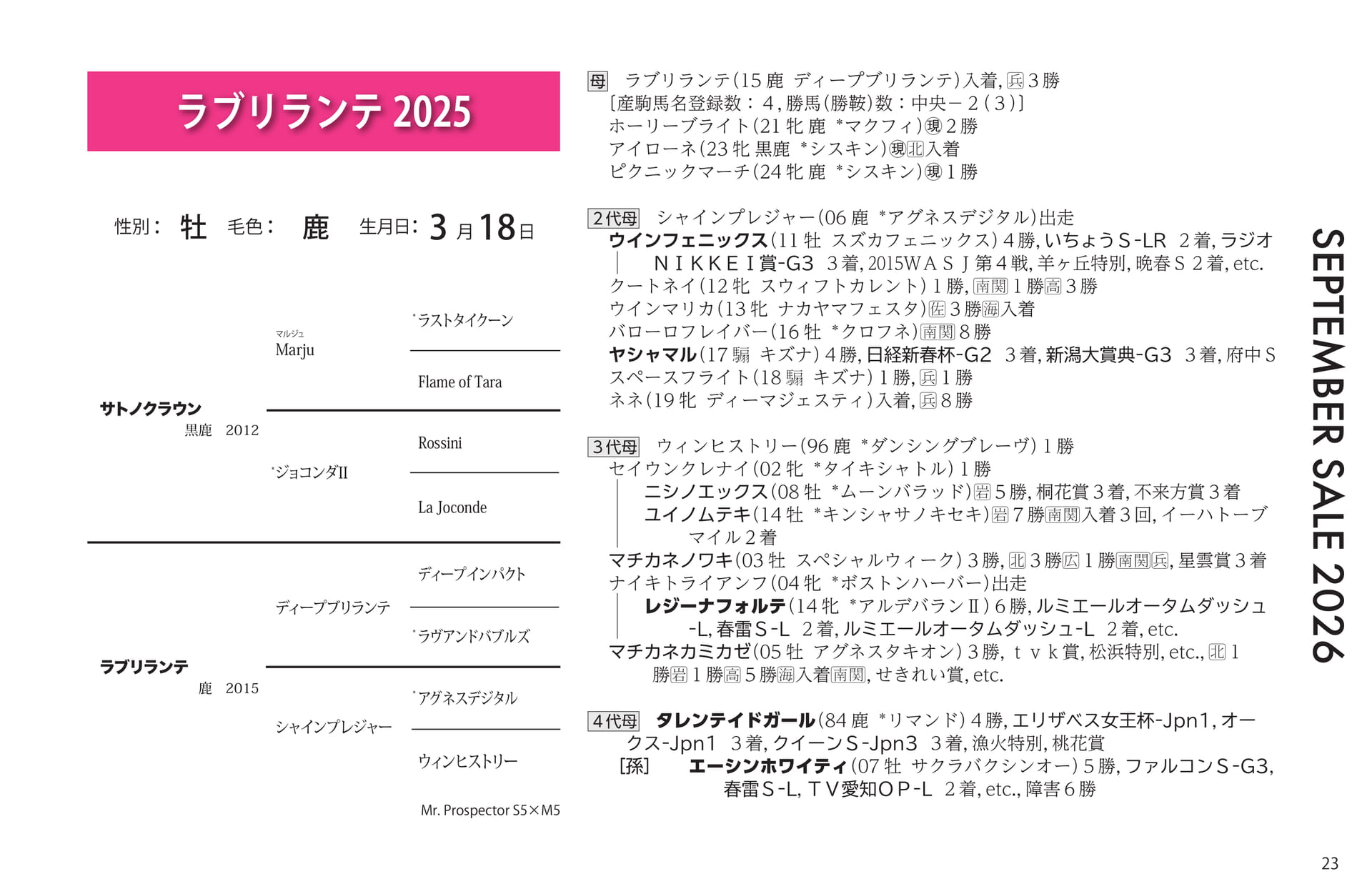 ラブリランテ 2025(23ページ目)