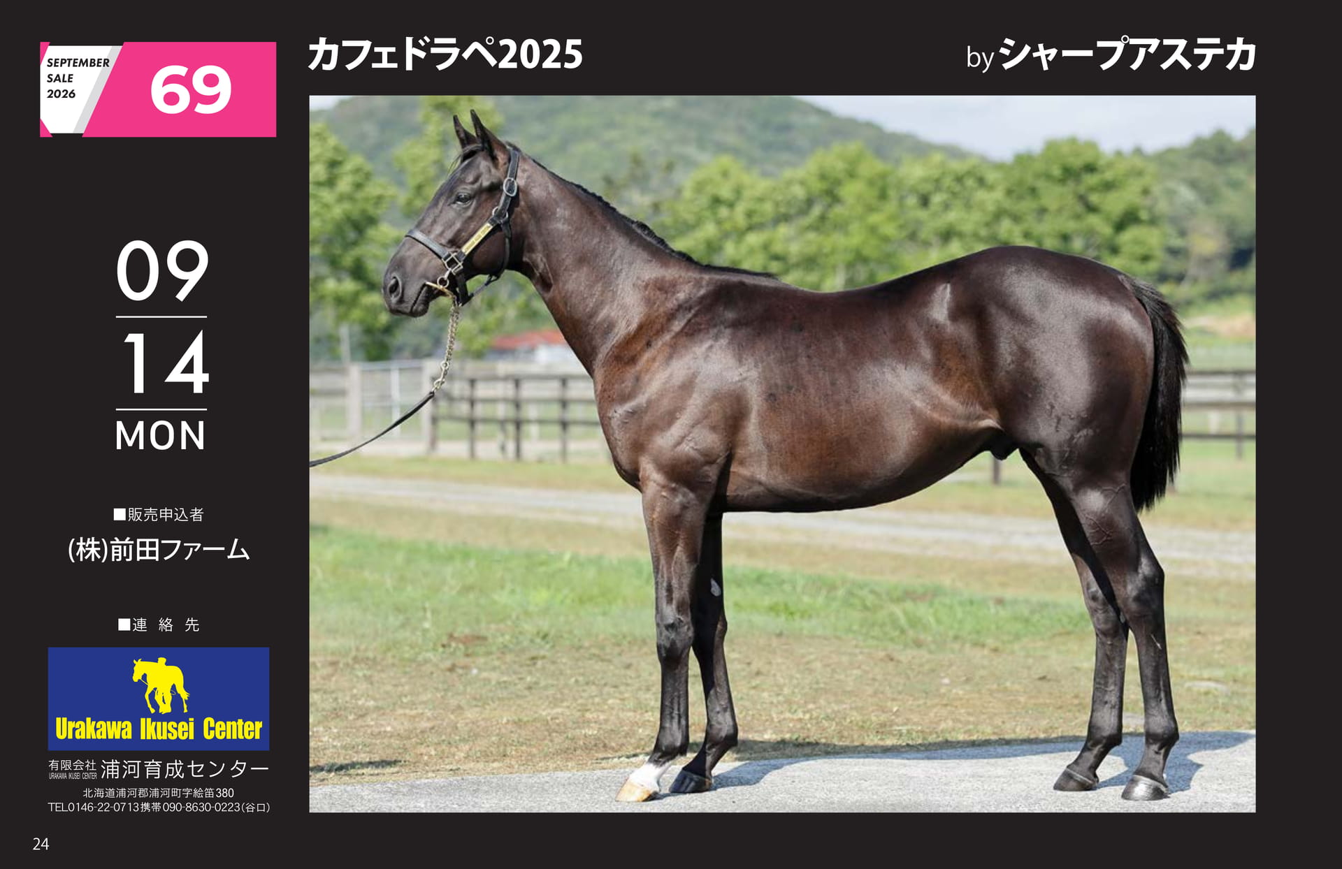 SEPTEMBER SALE 2026(24ページ目)