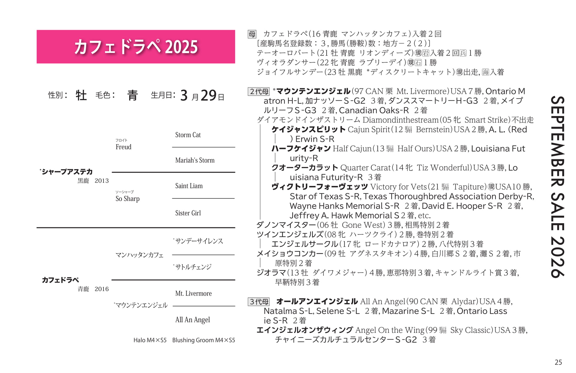 カフェドラペ 2025(25ページ目)