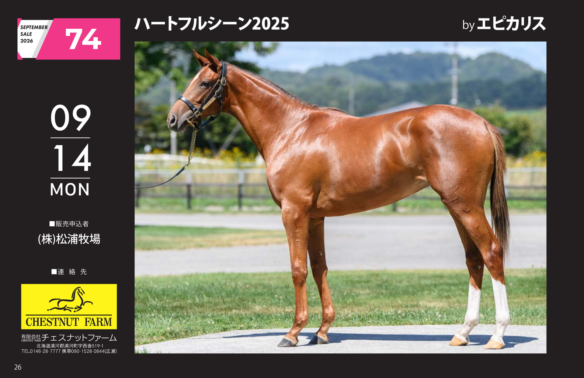 SEPTEMBER SALE 2026(26ページ目)