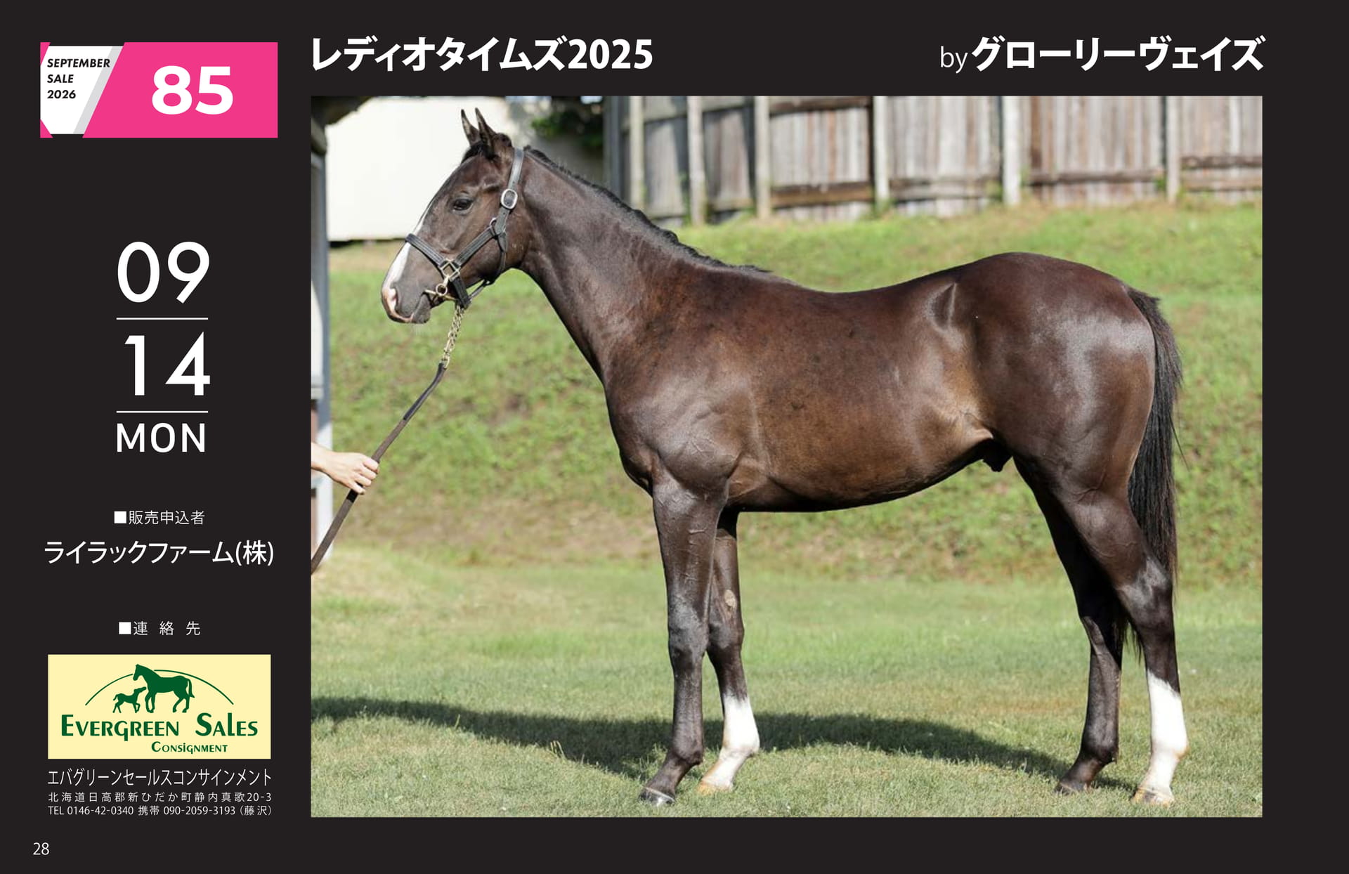 SEPTEMBER SALE 2026(28ページ目)