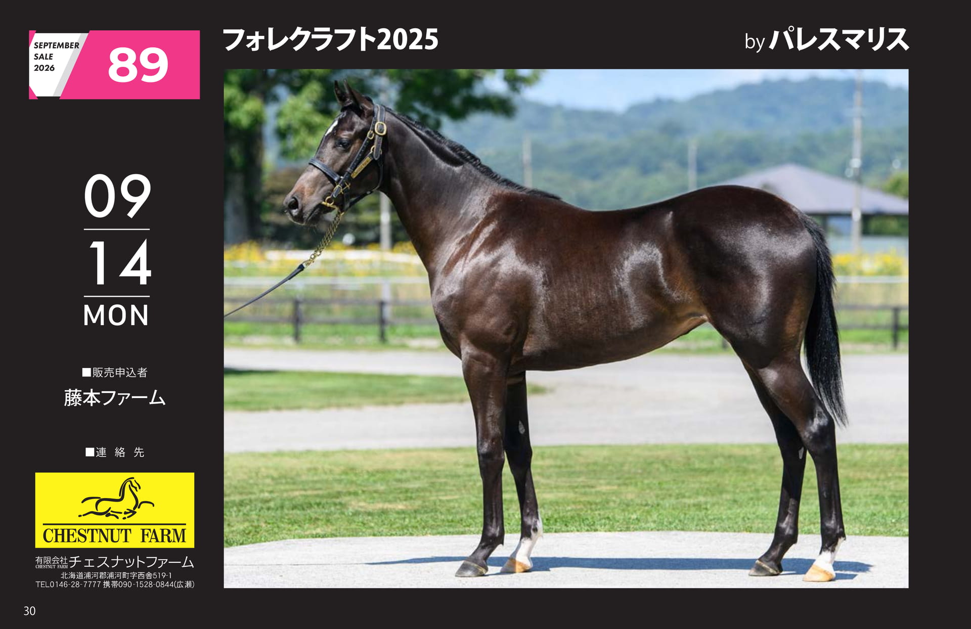 SEPTEMBER SALE 2026(30ページ目)