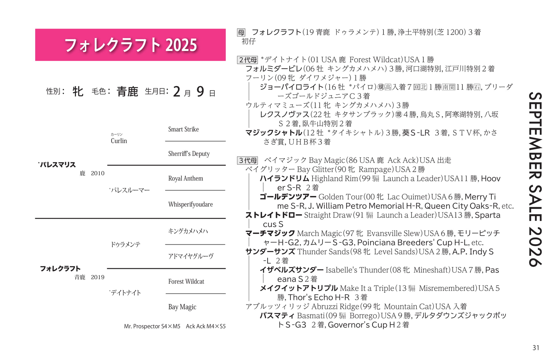 フォレクラフト 2025(31ページ目)
