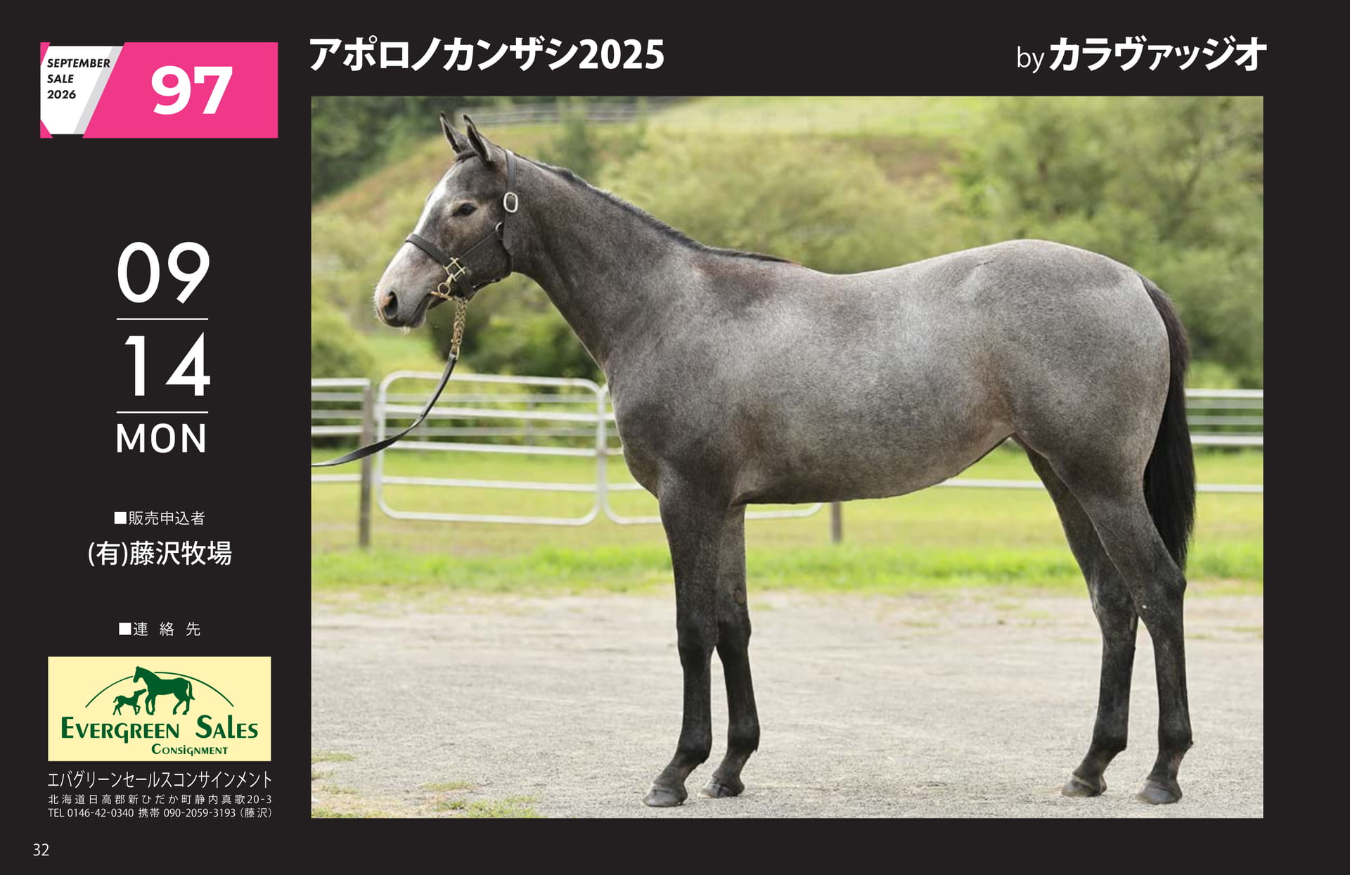 SEPTEMBER SALE 2026(32ページ目)