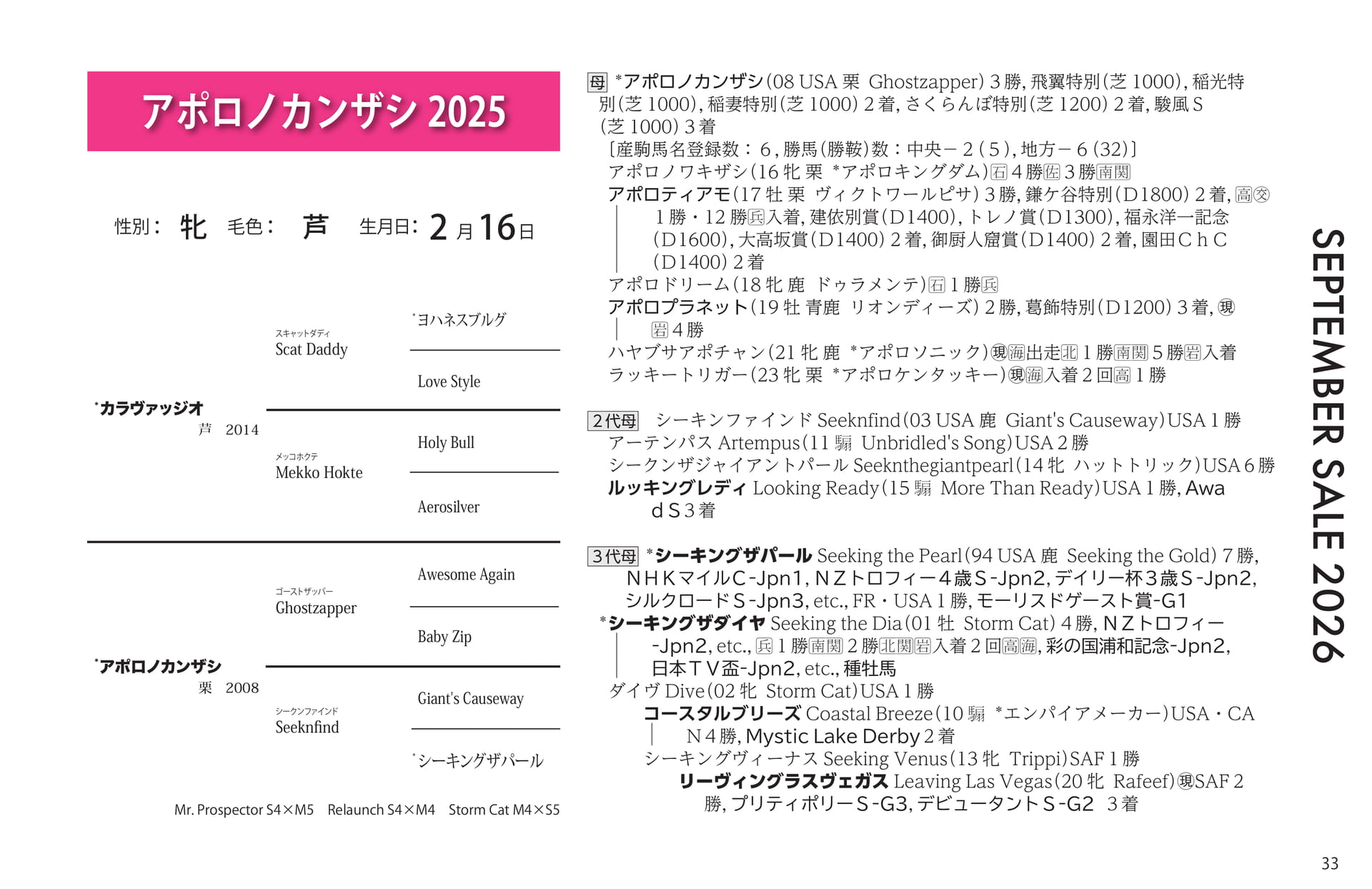 アポロノカンザシ 2025(33ページ目)