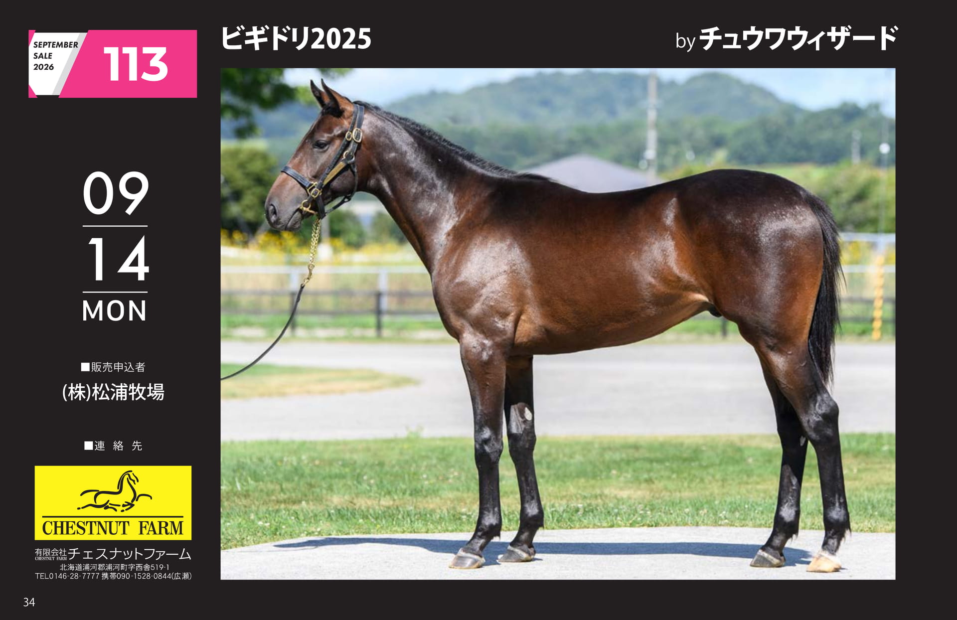 SEPTEMBER SALE 2026(34ページ目)