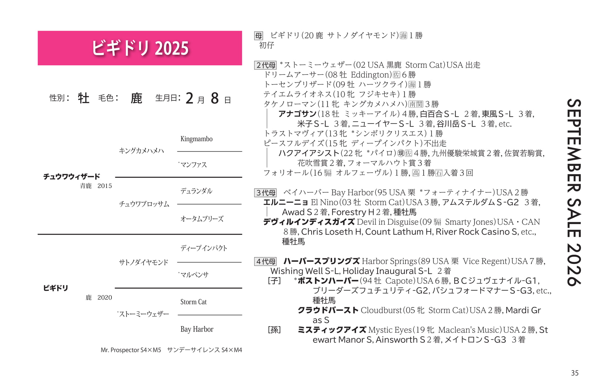ビギドリ 2025(35ページ目)