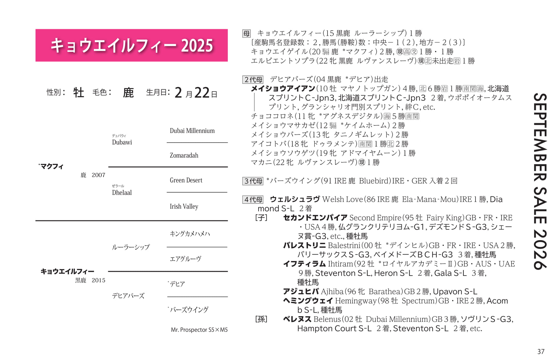 キョウエイルフィー 2025(37ページ目)