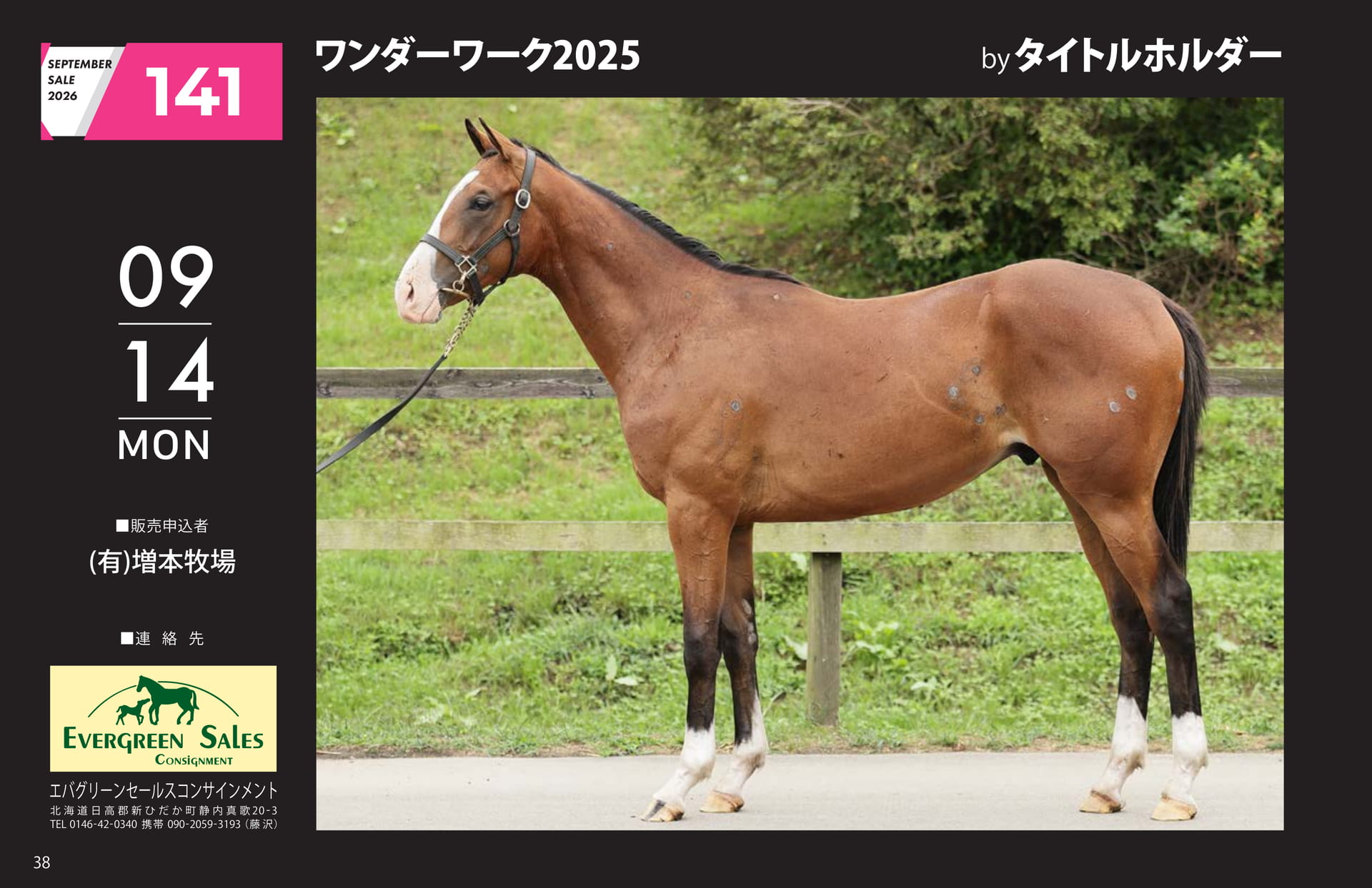 SEPTEMBER SALE 2026(38ページ目)