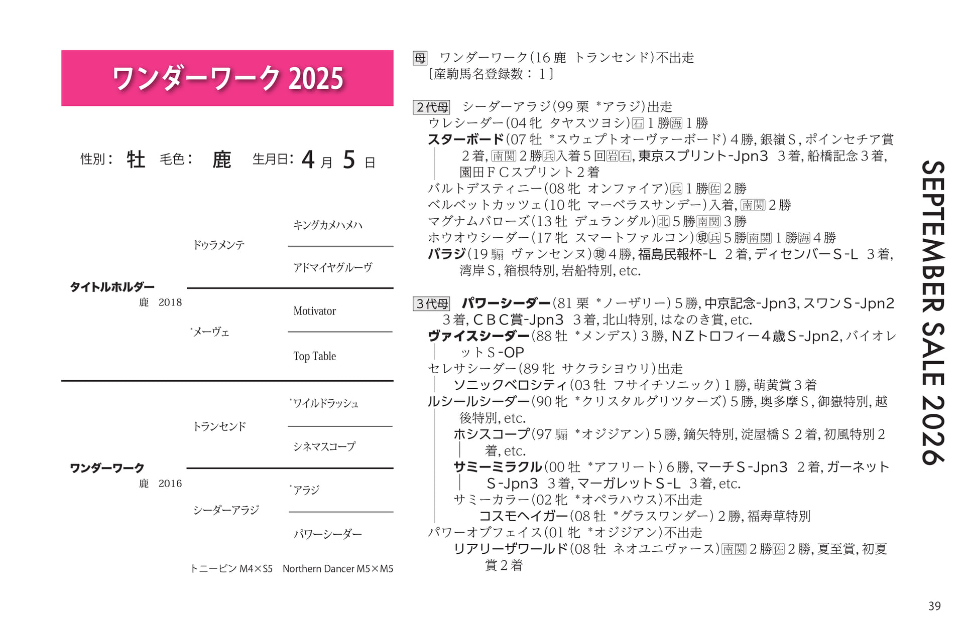 ワンダーワーク 2025(39ページ目)