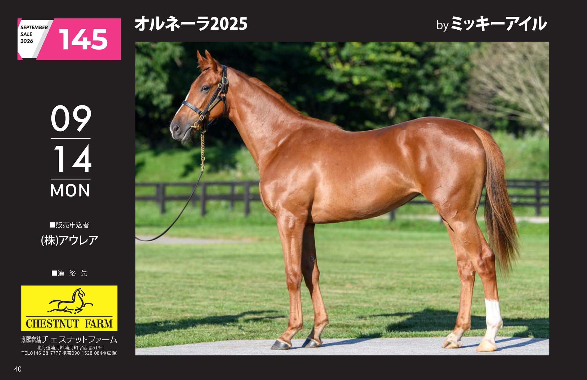 SEPTEMBER SALE 2026(40ページ目)