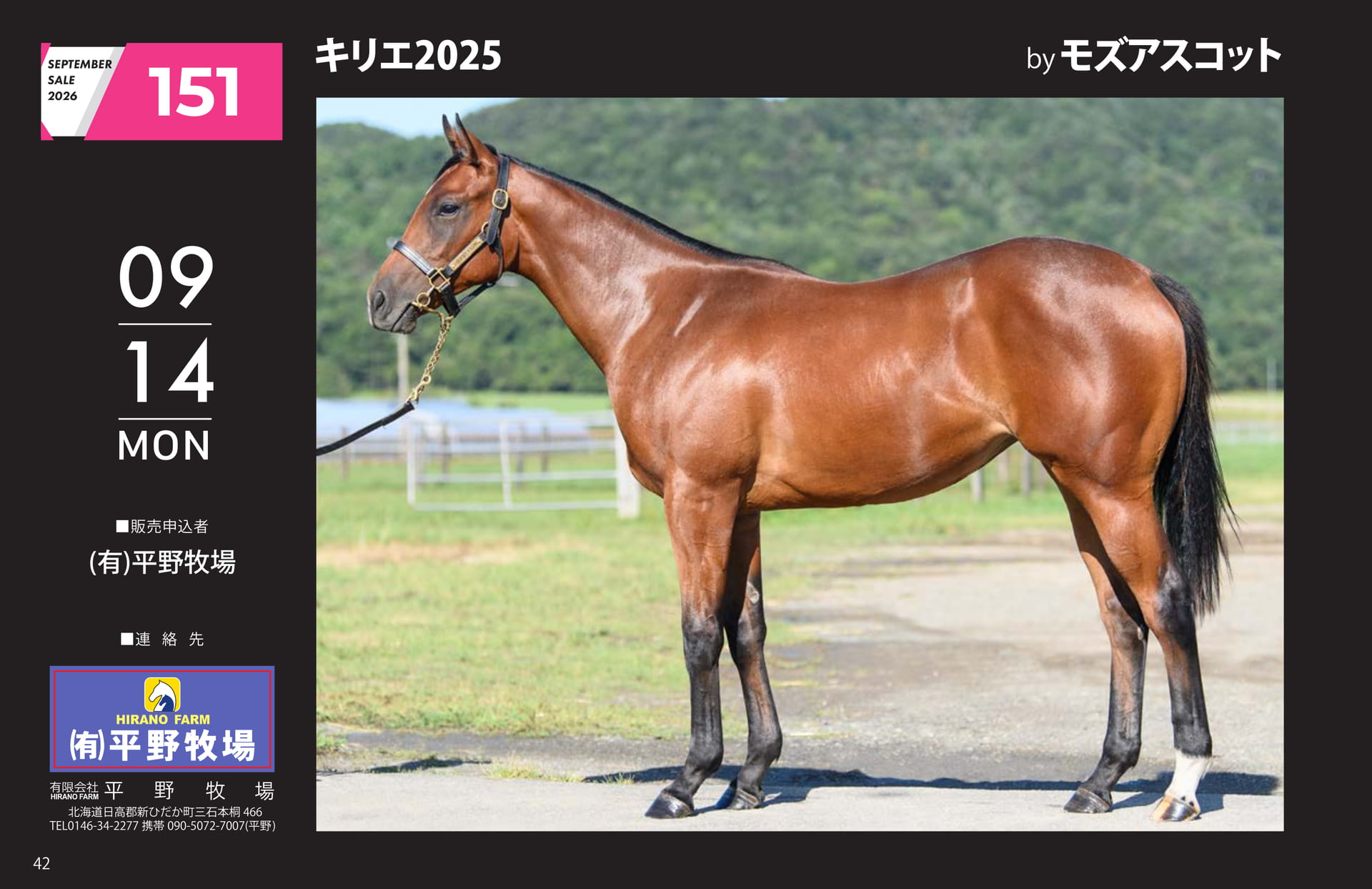 SEPTEMBER SALE 2026(42ページ目)