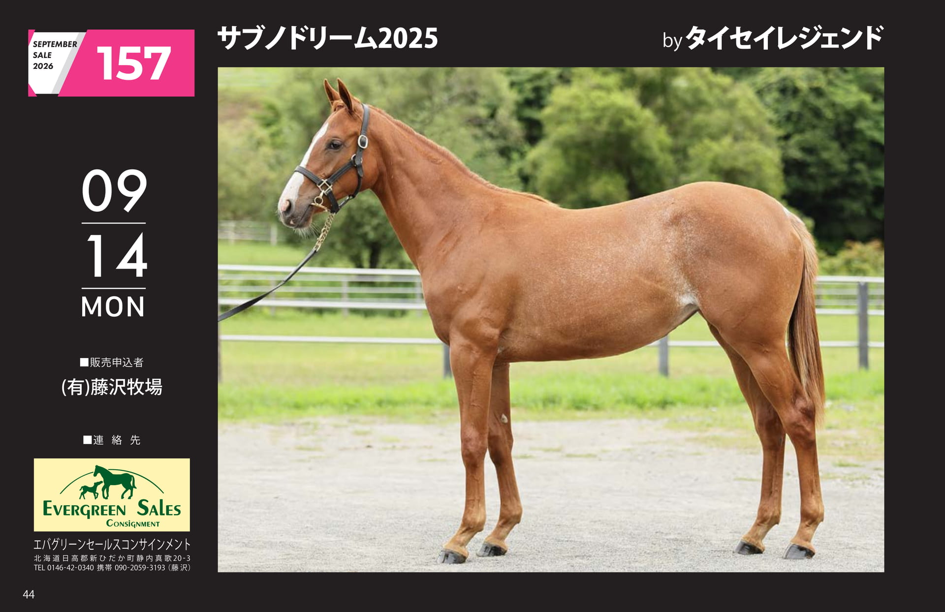 SEPTEMBER SALE 2026(44ページ目)