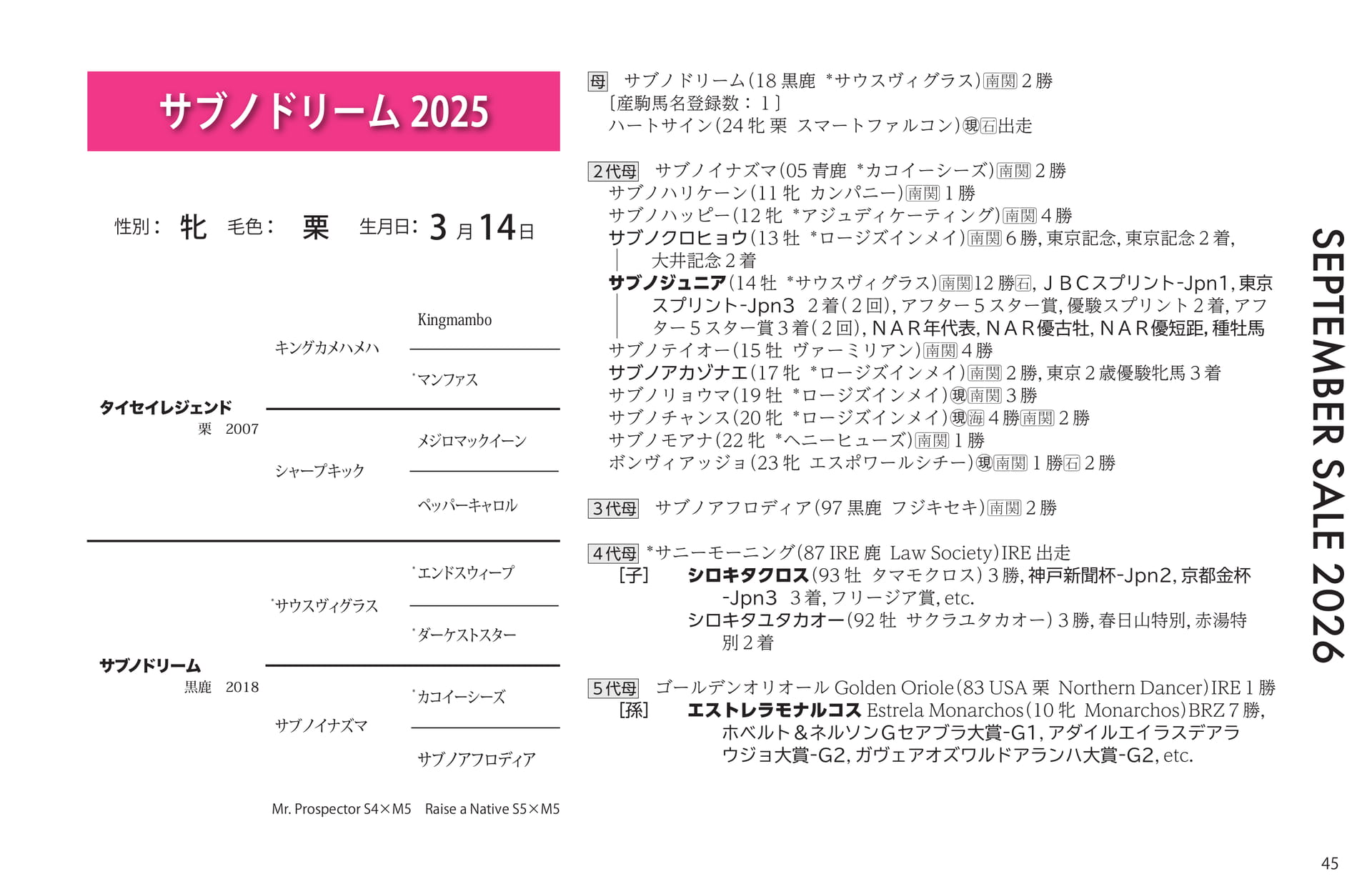 サブノドリーム 2025(45ページ目)