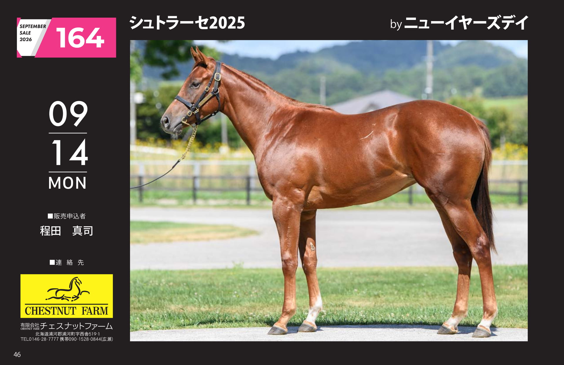 SEPTEMBER SALE 2026(46ページ目)