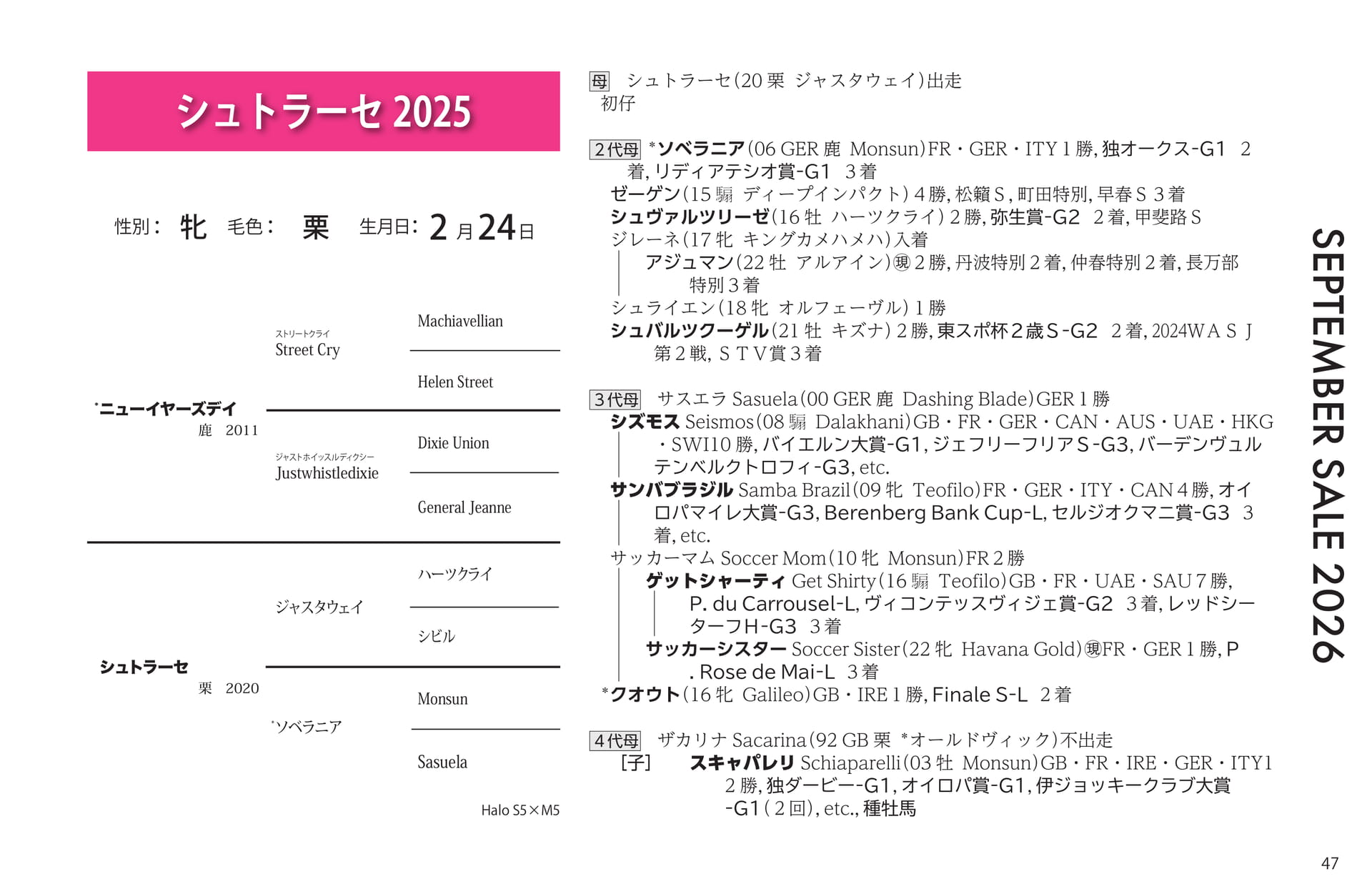 シュトラーセ 2025(47ページ目)