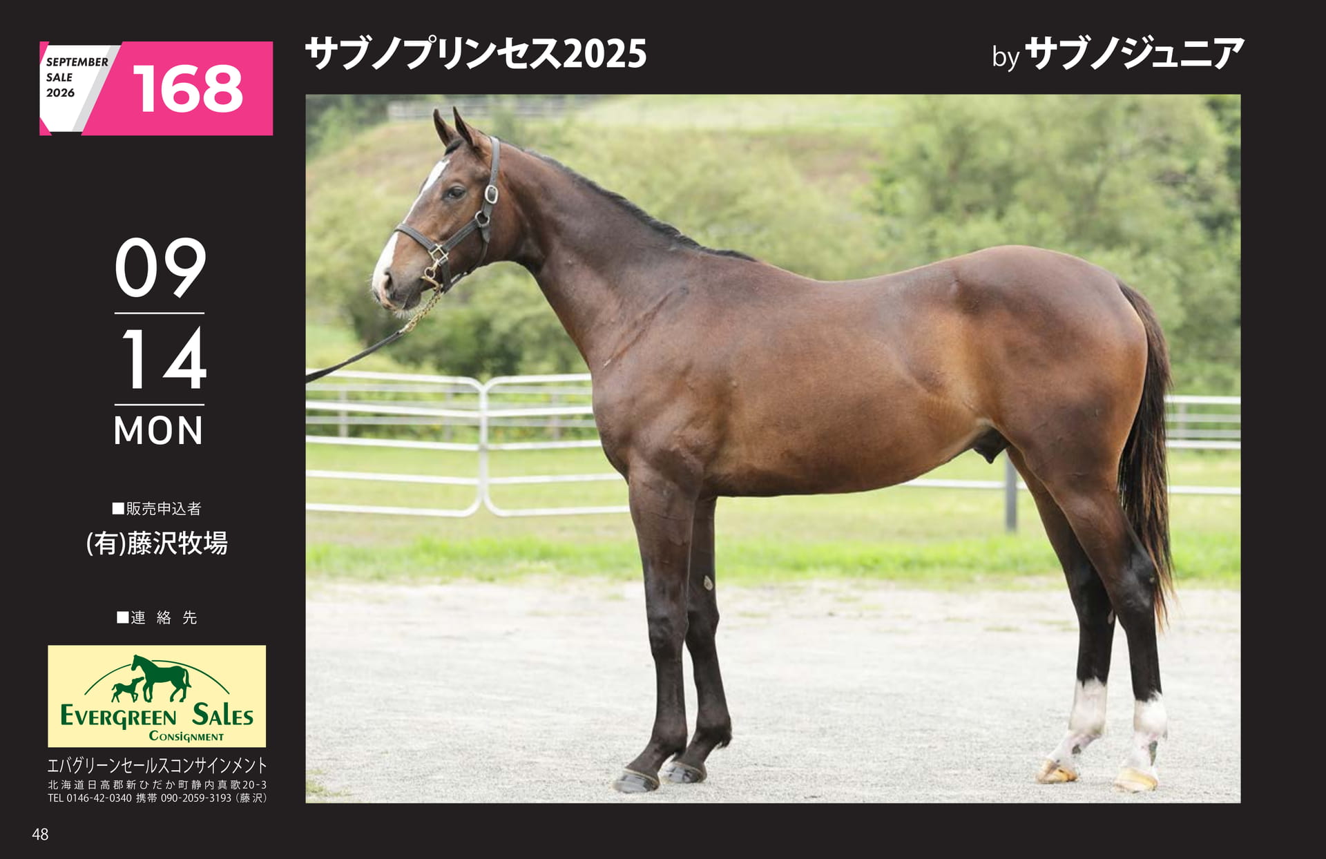 SEPTEMBER SALE 2026(48ページ目)