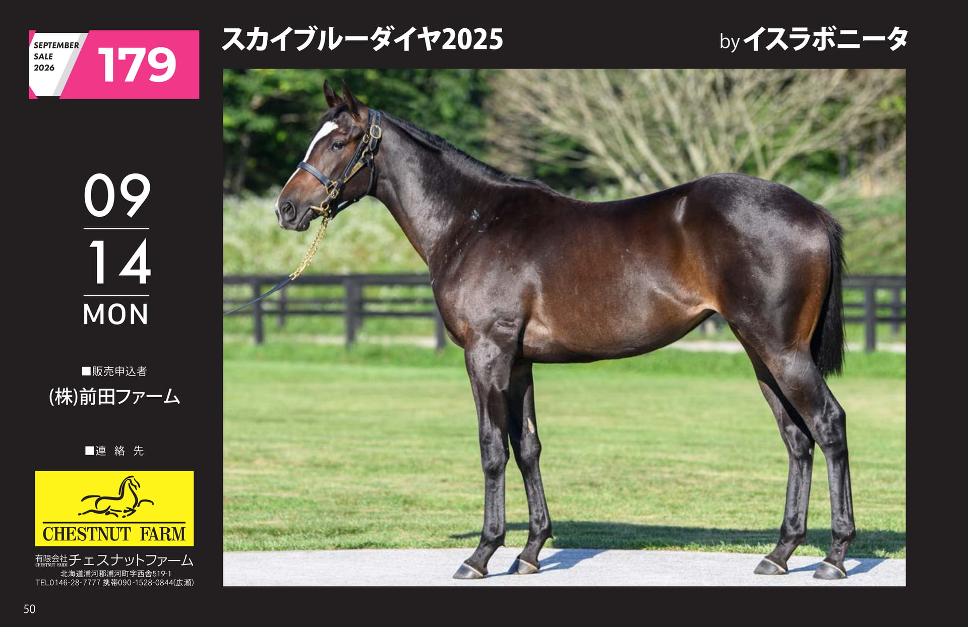 SEPTEMBER SALE 2026(50ページ目)
