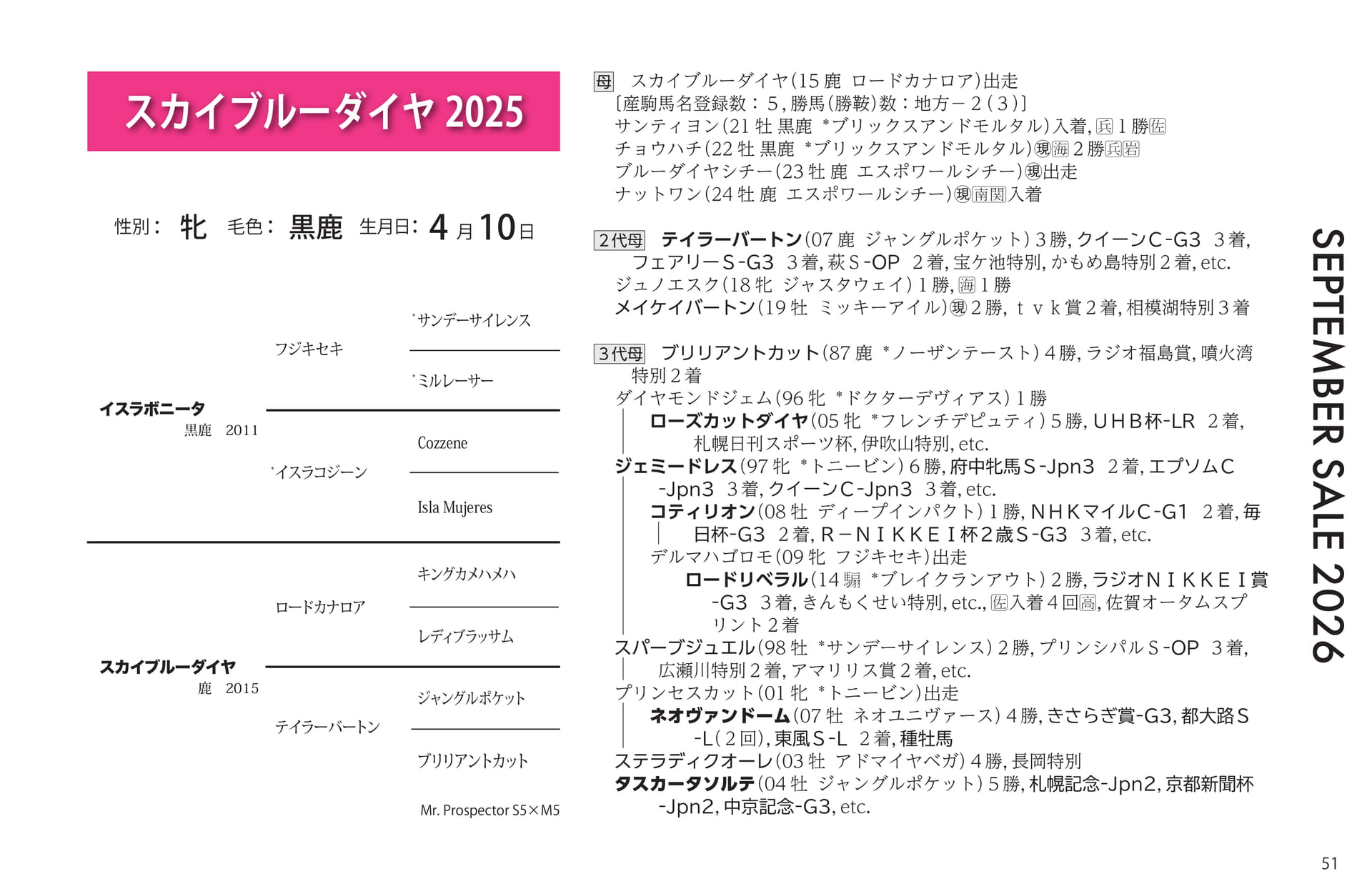 スカイブルーダイヤ 2025(51ページ目)