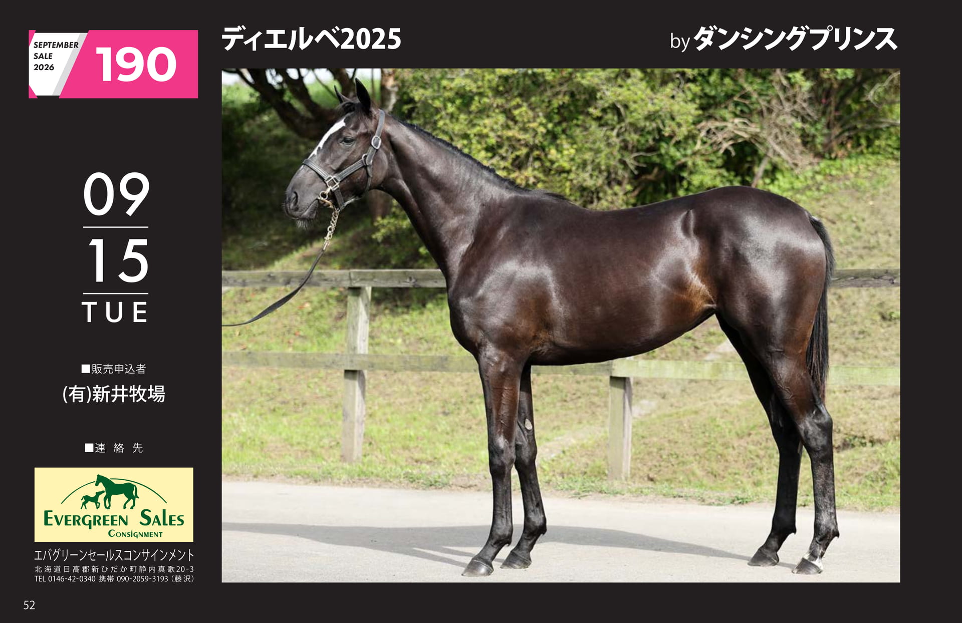 ディエルベ 2025(52ページ目)