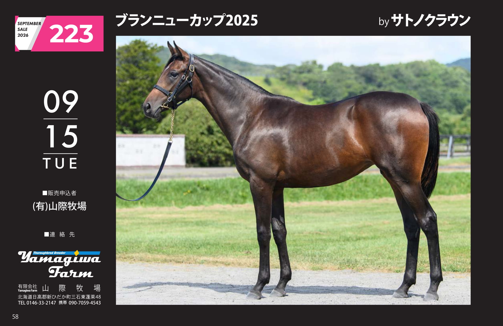 ブランニューカップ 2025(58ページ目)