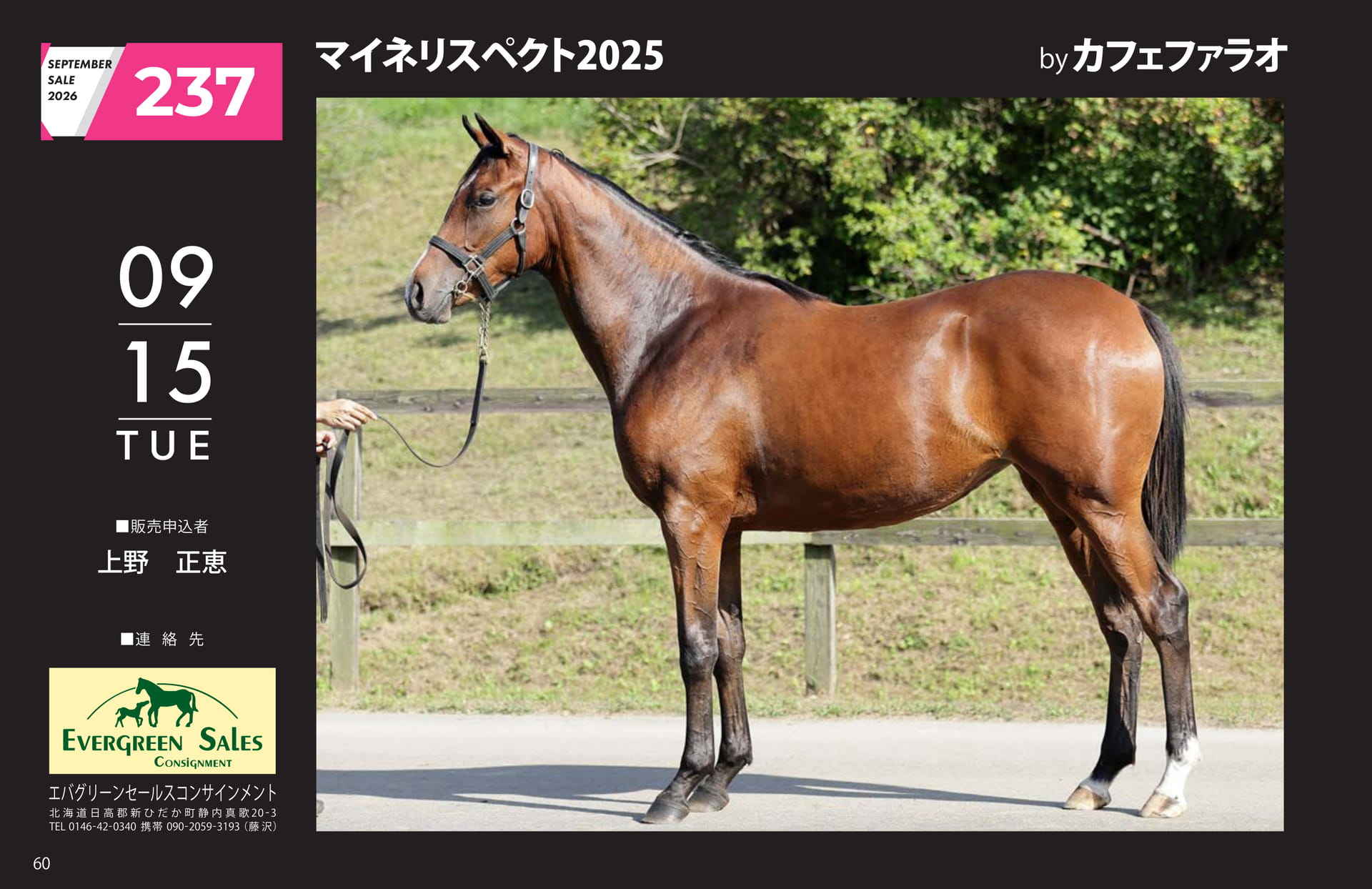 マイネリスペクト 2025(60ページ目)
