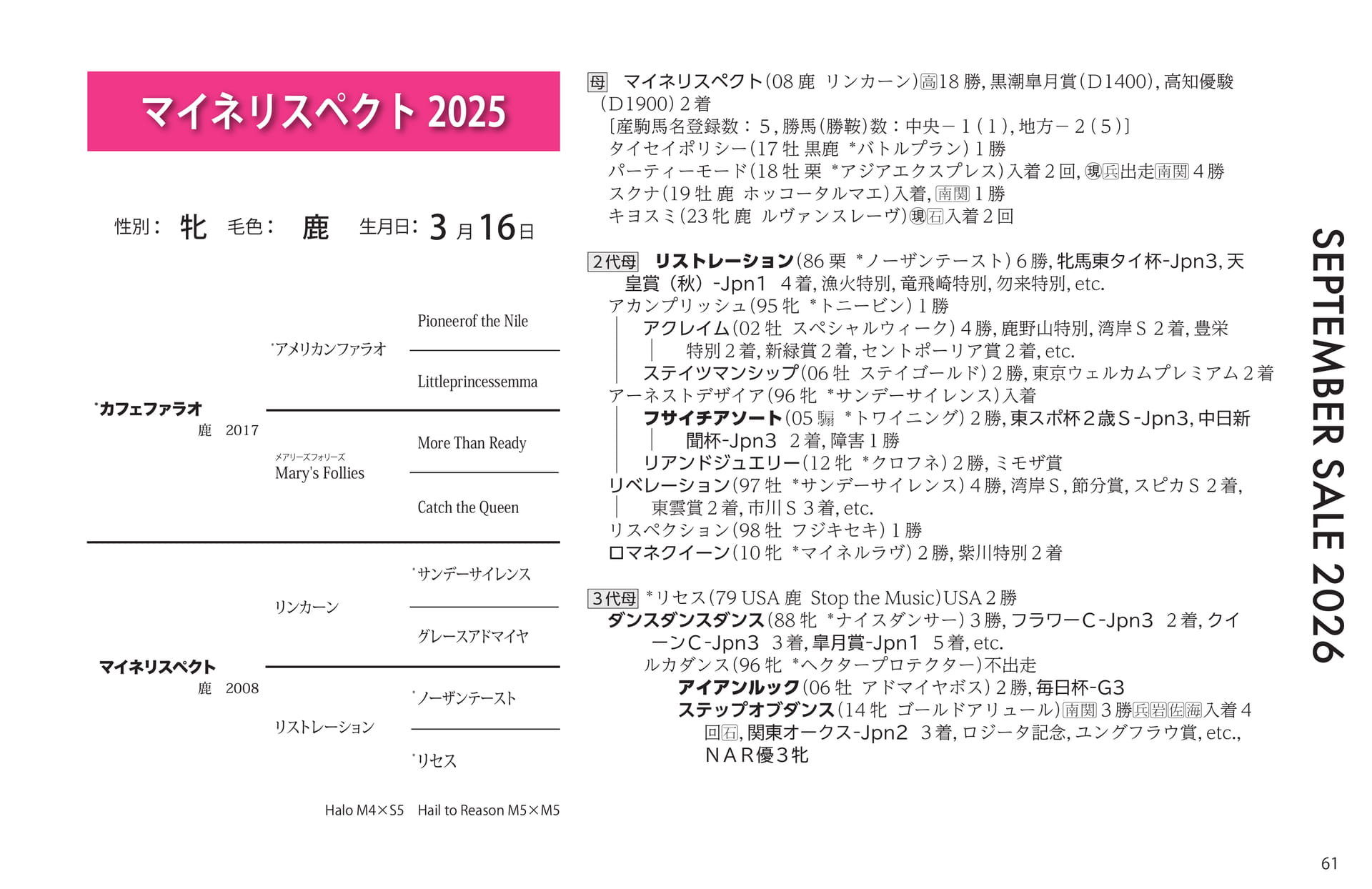 マイネリスペクト血統(61ページ目)