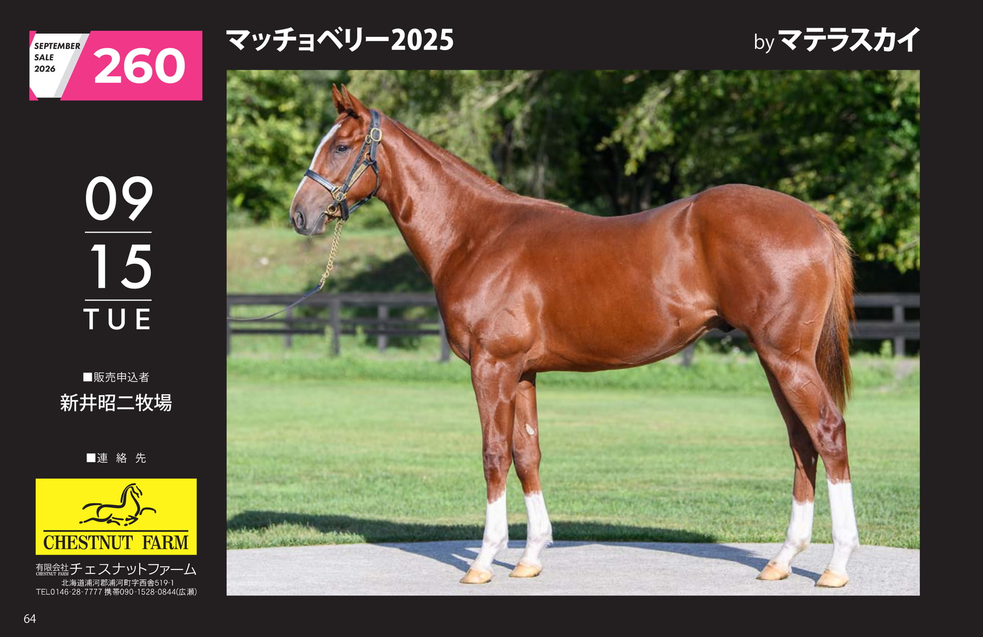 マッチョベリー 2025(64ページ目)