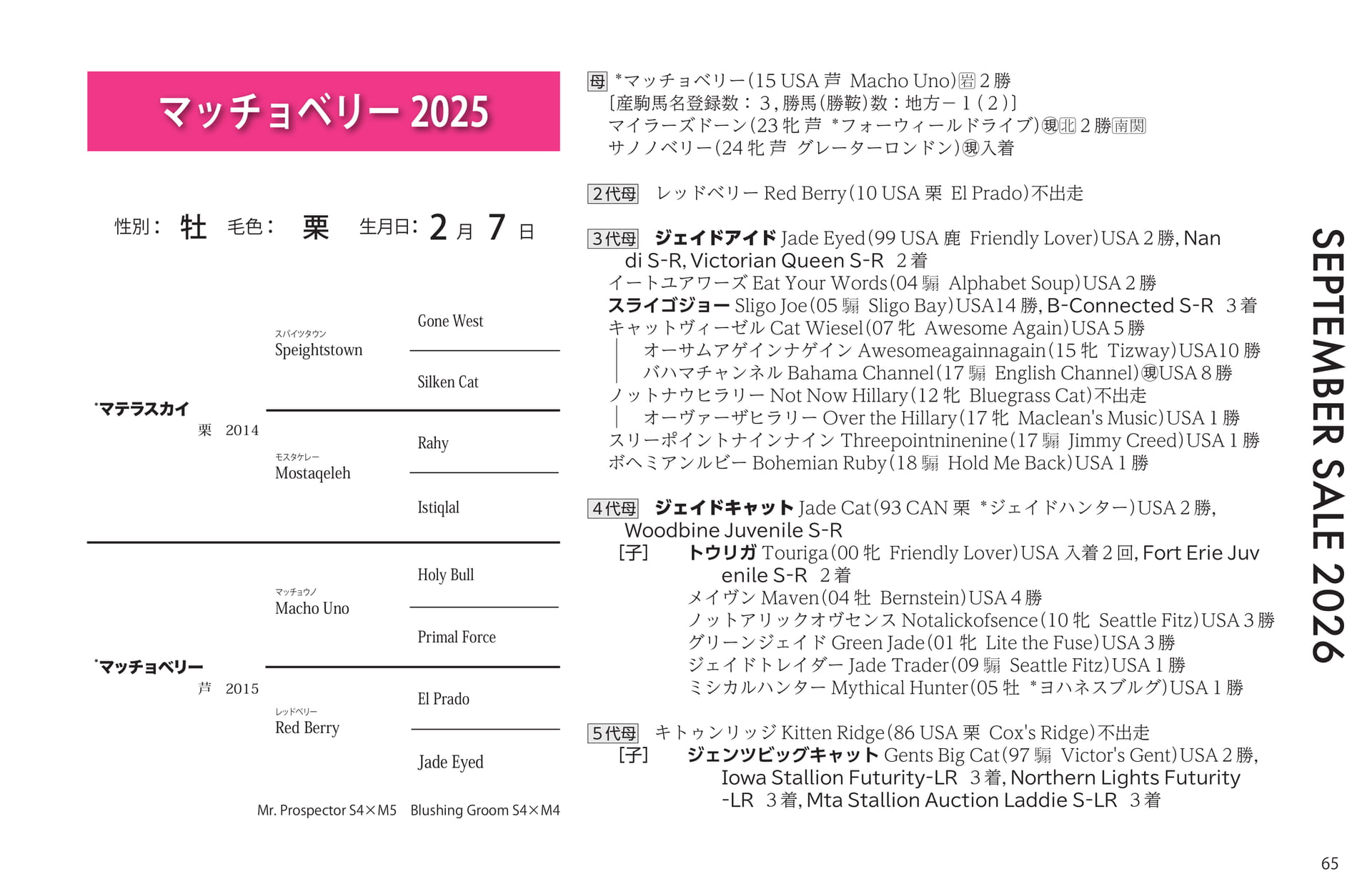 マッチョベリー 2025 血統(65ページ目)