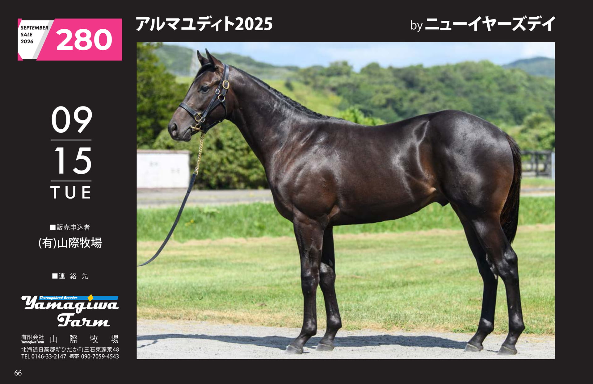 アルマユディト 2025(66ページ目)