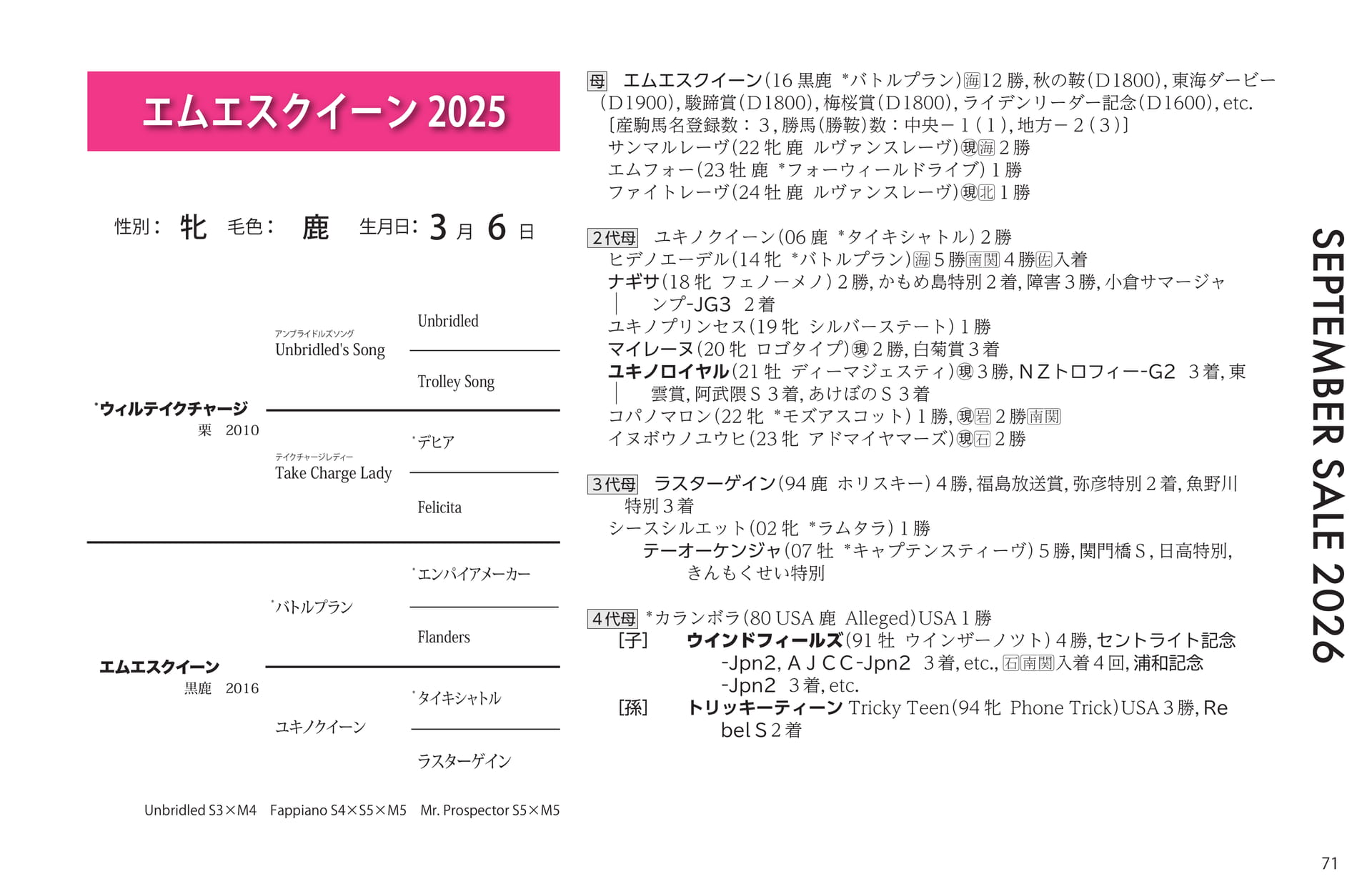 エムエスクイーン血統(71ページ目)
