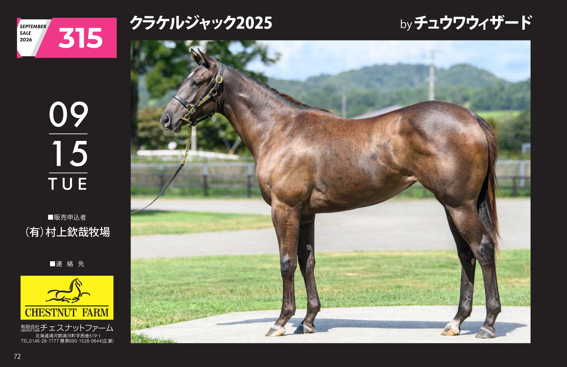 クラケルジャック 2025(72ページ目)