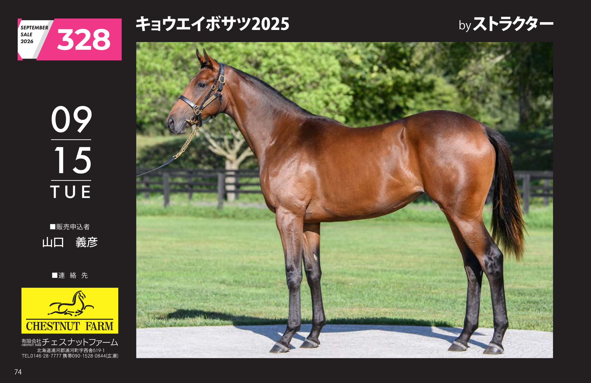 キョウエイボサツ 2025(74ページ目)