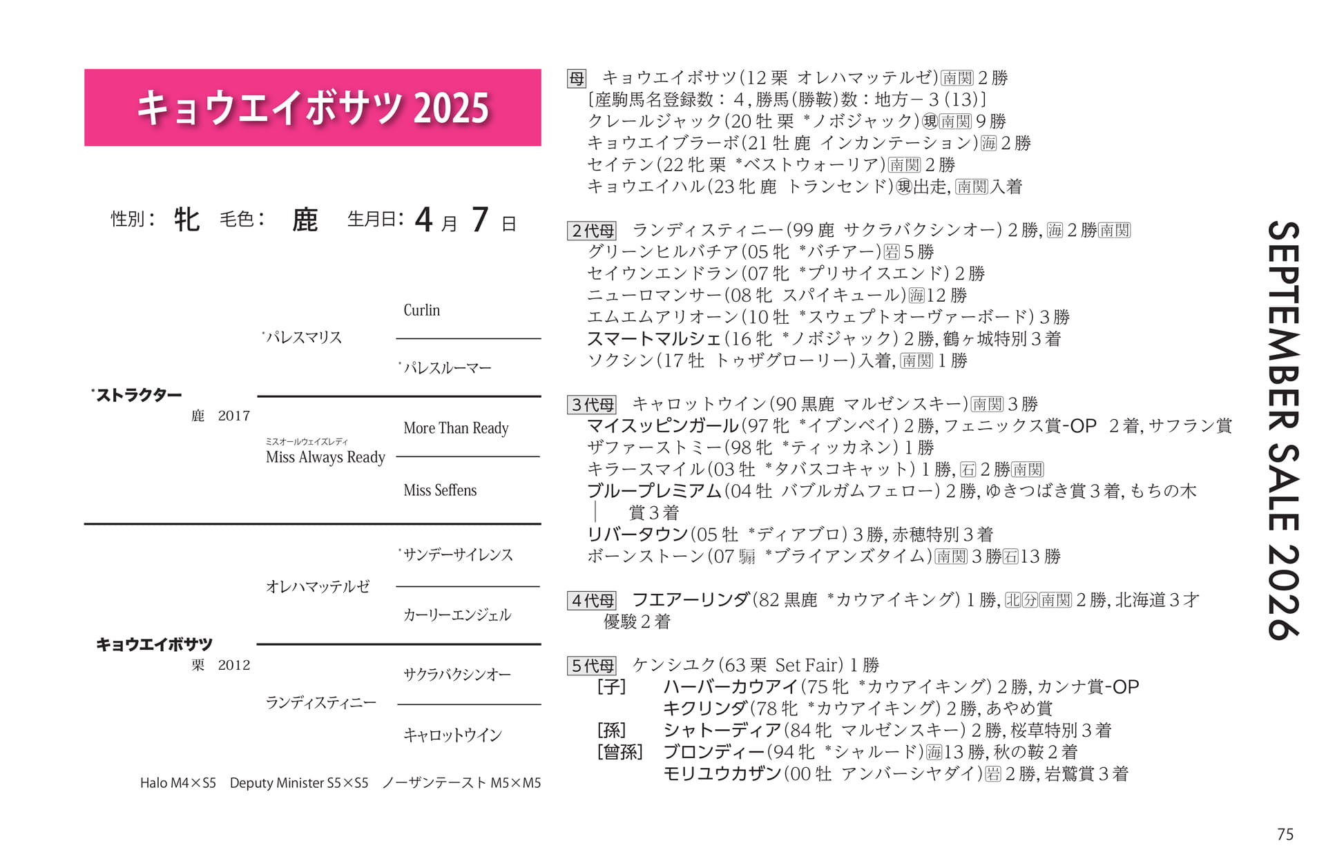 キョウエイボサツ血統(75ページ目)